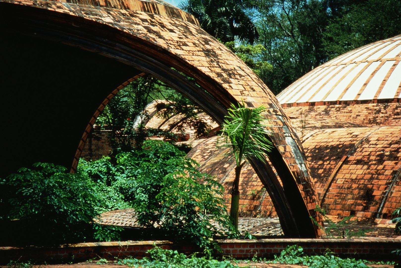 Photograph of architect Vittorio Garatti's school of ballet, part of Cuba's National Art Schools. From the top of the golf course’s ravine, one looks down upon the ballet school complex, nestled into the descending gorge. The plan of the school is articulated by a cluster of domed volumes, connected by an organic layering of Catalan vaults that follow a winding path. There are at least five ways to enter the complex. The most dramatic entrance starts at the top of the ravine with a simple path bisected by a notch to carry rainwater. As one proceeds, the terra cotta cupolas, articulating the major programmatic spaces, emerge floating over lush growth. The path then descends down into the winding subterranean passage that links the classrooms and showers, three dance pavilions, administration pavilions, library and the Pantheon-like space of the performance theater. The path also leads up onto its roofs which are an integral part of Garatti's paseo arquitectonico. The essence of the design is not found in the plan but in the spatial experience of the school's choreographed volumes that move with the descending ravine.