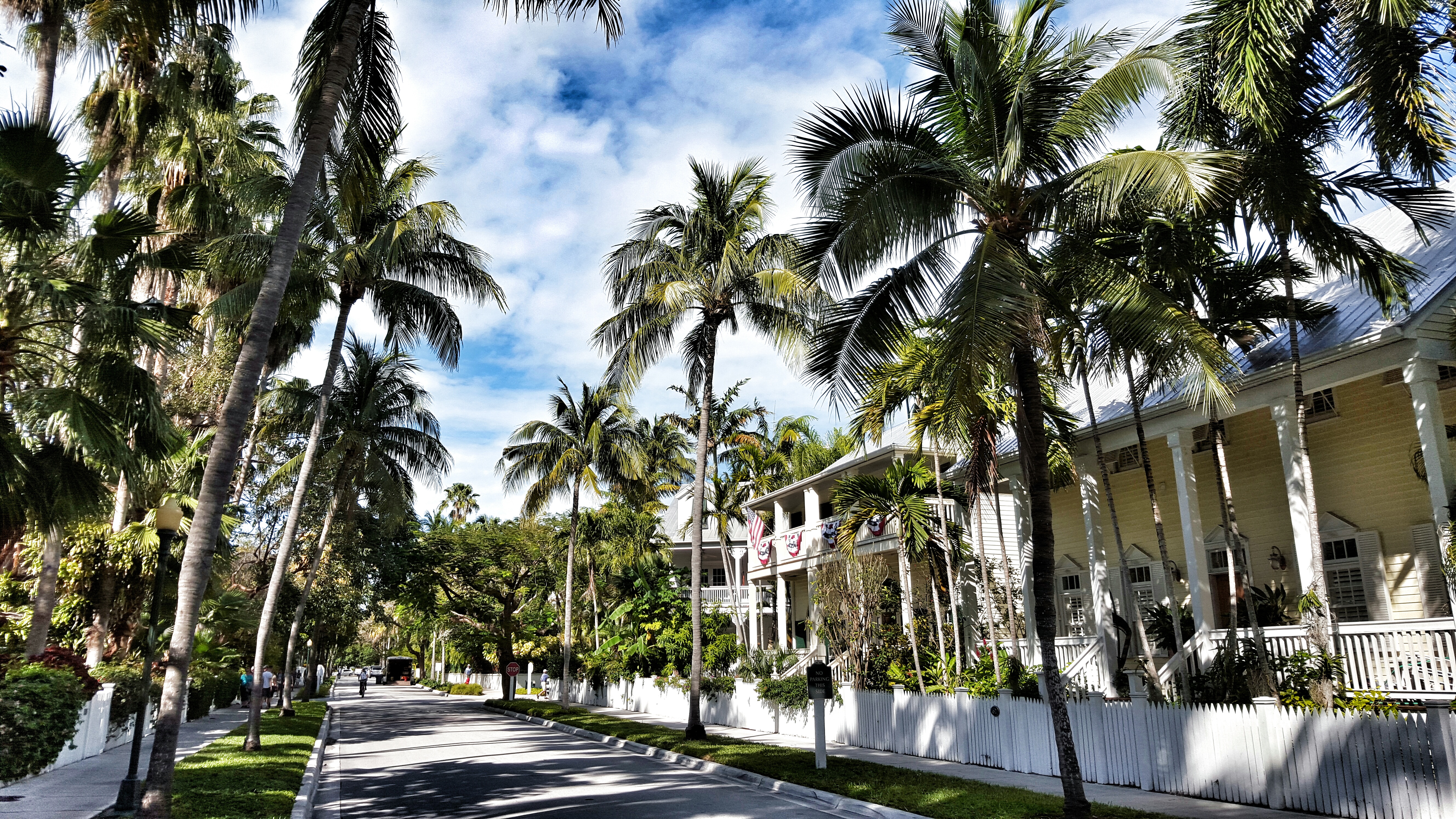 Palm-lined Key West Road