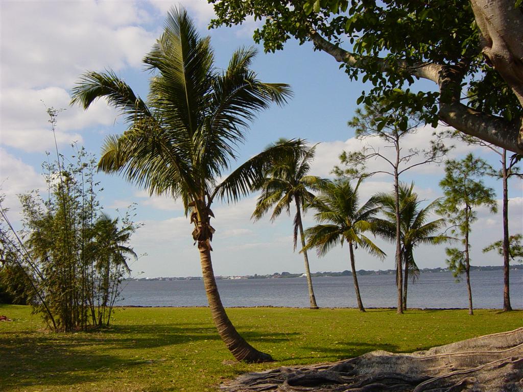 View of the Caloosahatchee River taken from the grounds of the Edison and Ford Winter Estates, Fort Myers January 27, 2006.