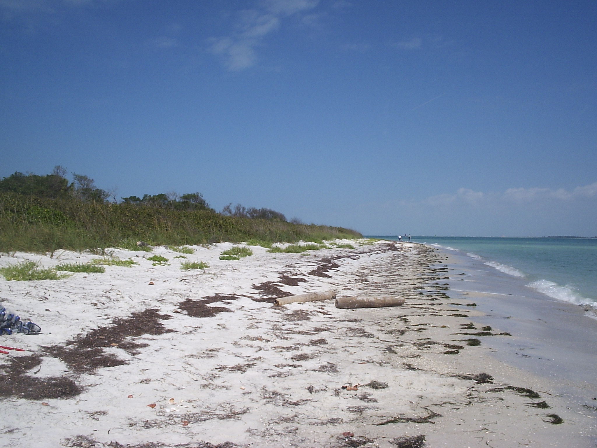 Taken by me at Egmont Key State Park, Florida on March 16, 2006, using an Olympus Camedia D-395 digital camera .  CC-BY-SA-2.5. Looking north along eastern beach of Egmont Key.Mikereichold 23:19, 16 March 2006 (UTC)