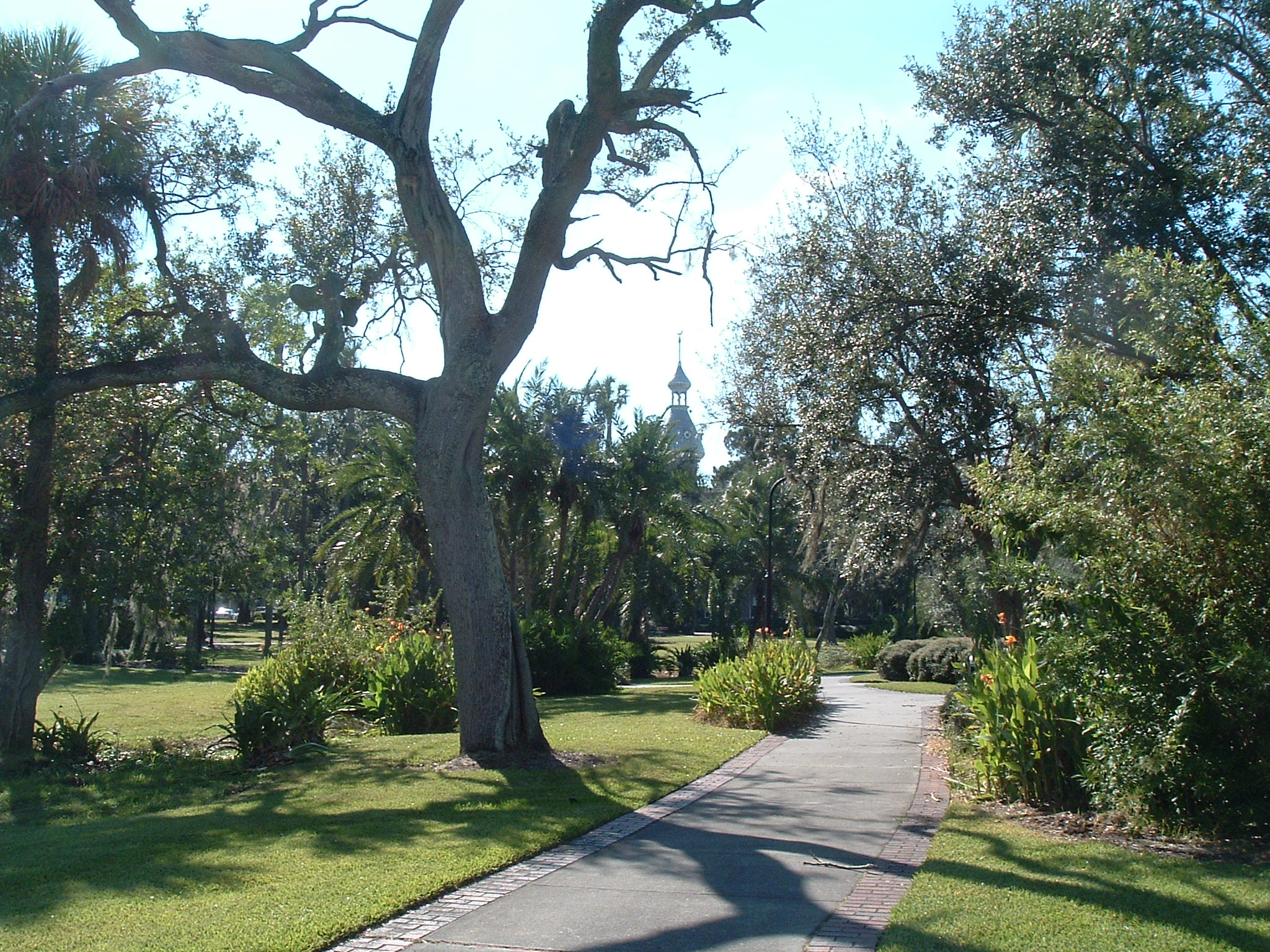 One of Plant park's many wooded paths, at the Henry B. Plant Museum, south wing of Plant Hall (formerly the Tampa Bay Hotel)