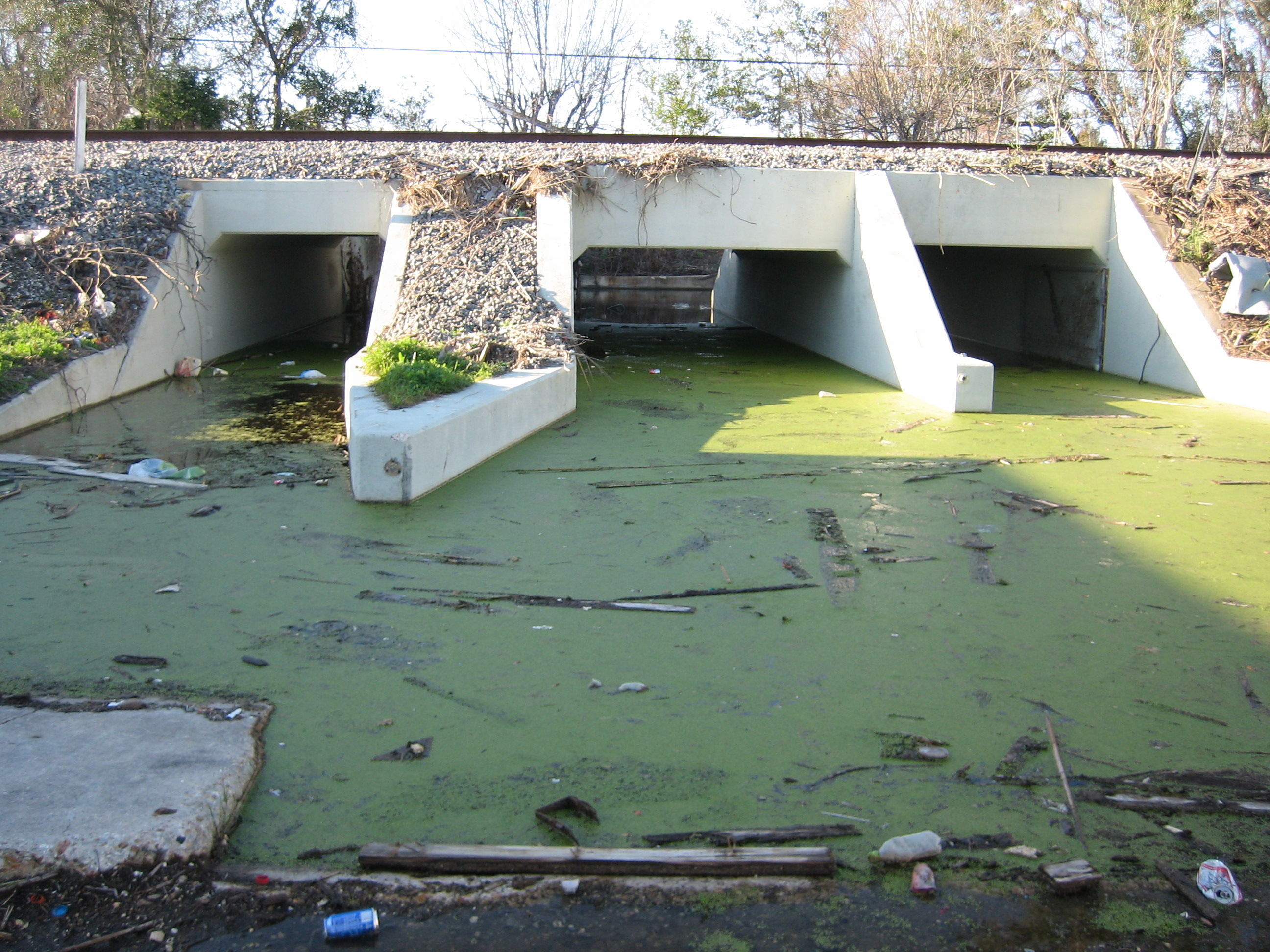 New Orleans after Hurricane Katrina:
Entrance to Lincoln Beach Amusement Park is still flooded months after the storm, but as it's been closed for decades, draining it is not a priority.


Photo by Infrogmation of New Orleans, January 2006.