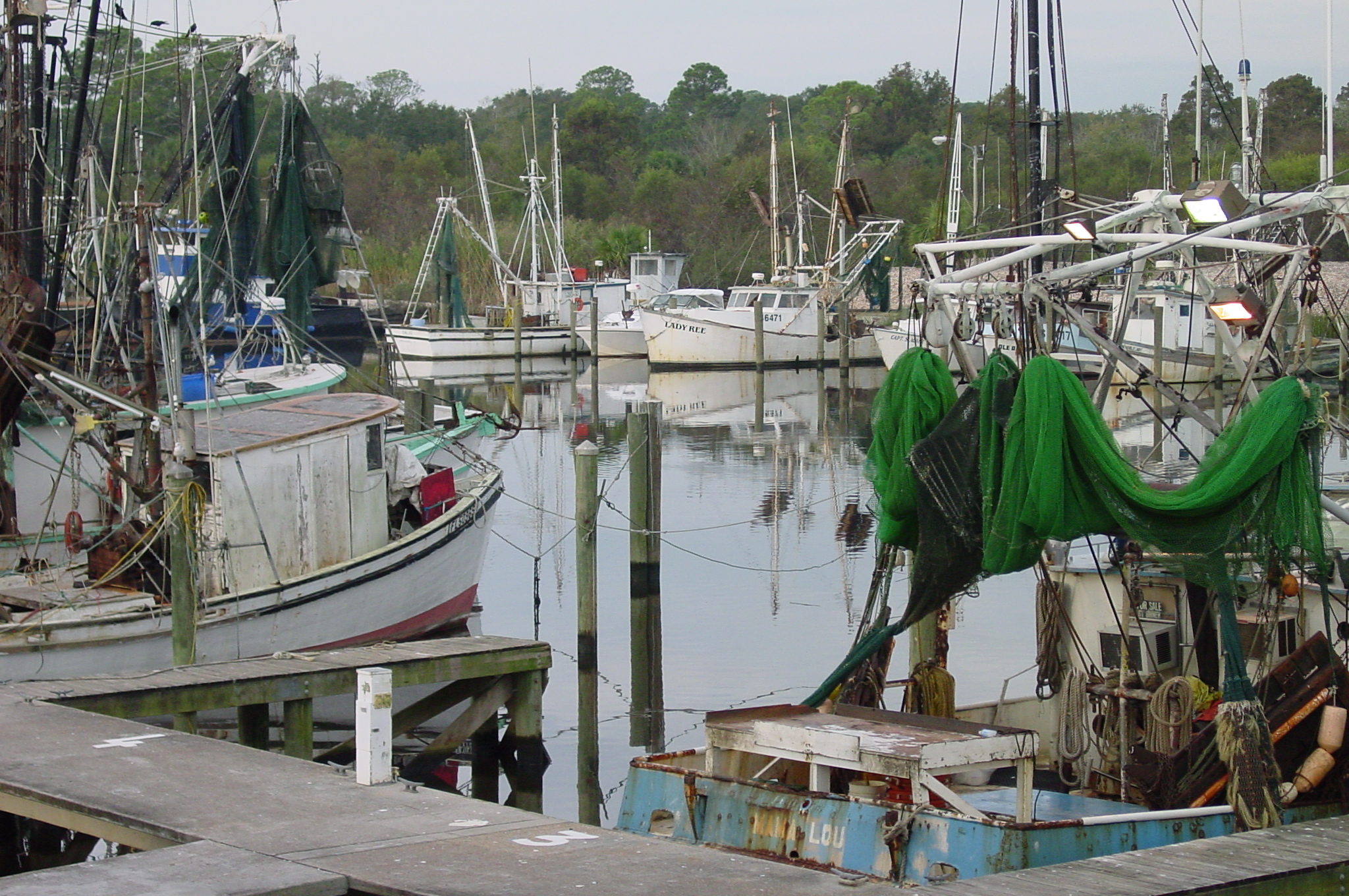 Scope and content:  The original finding aid described this photograph as:
Original Caption: Boats line the Apalachicola docks along the beautiful Apalachicola River.
Location: Apalachicola River, Florida

Status: Public domain. Diane Delaney