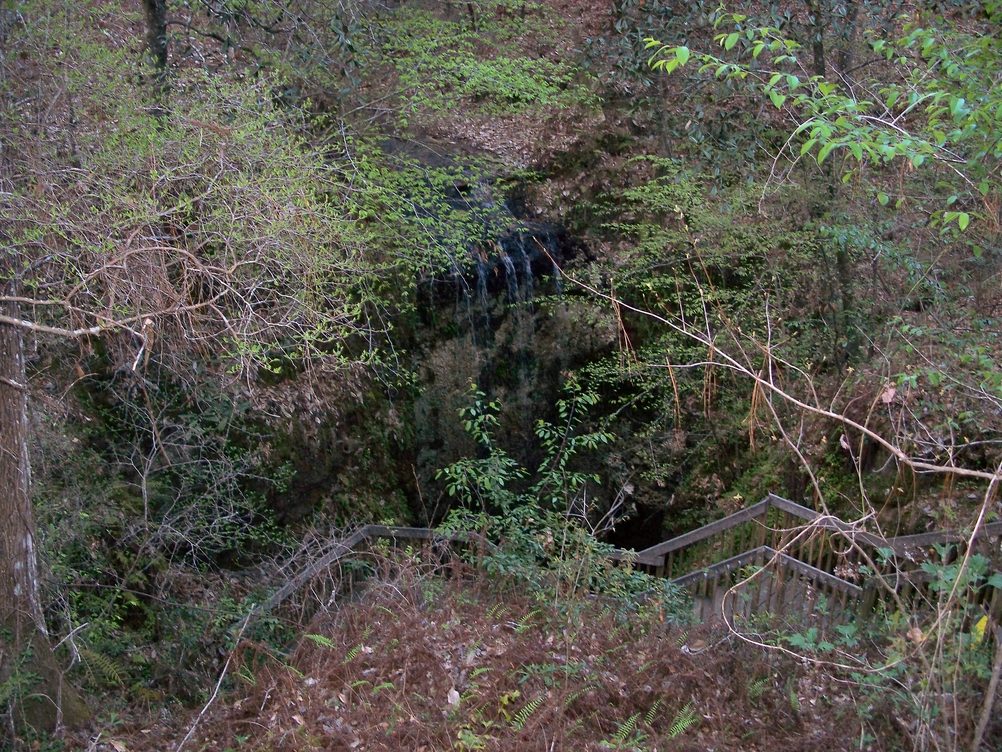 The waterfall in Falling Waters State Park.