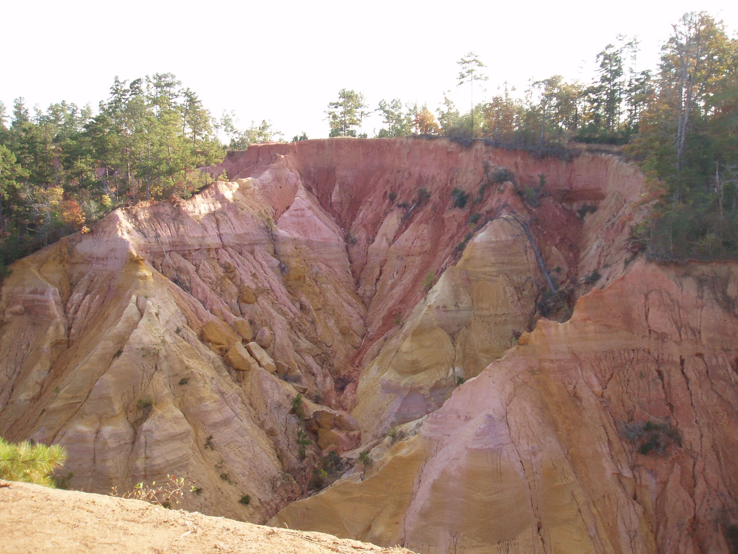 Red Bluff, Mississippi