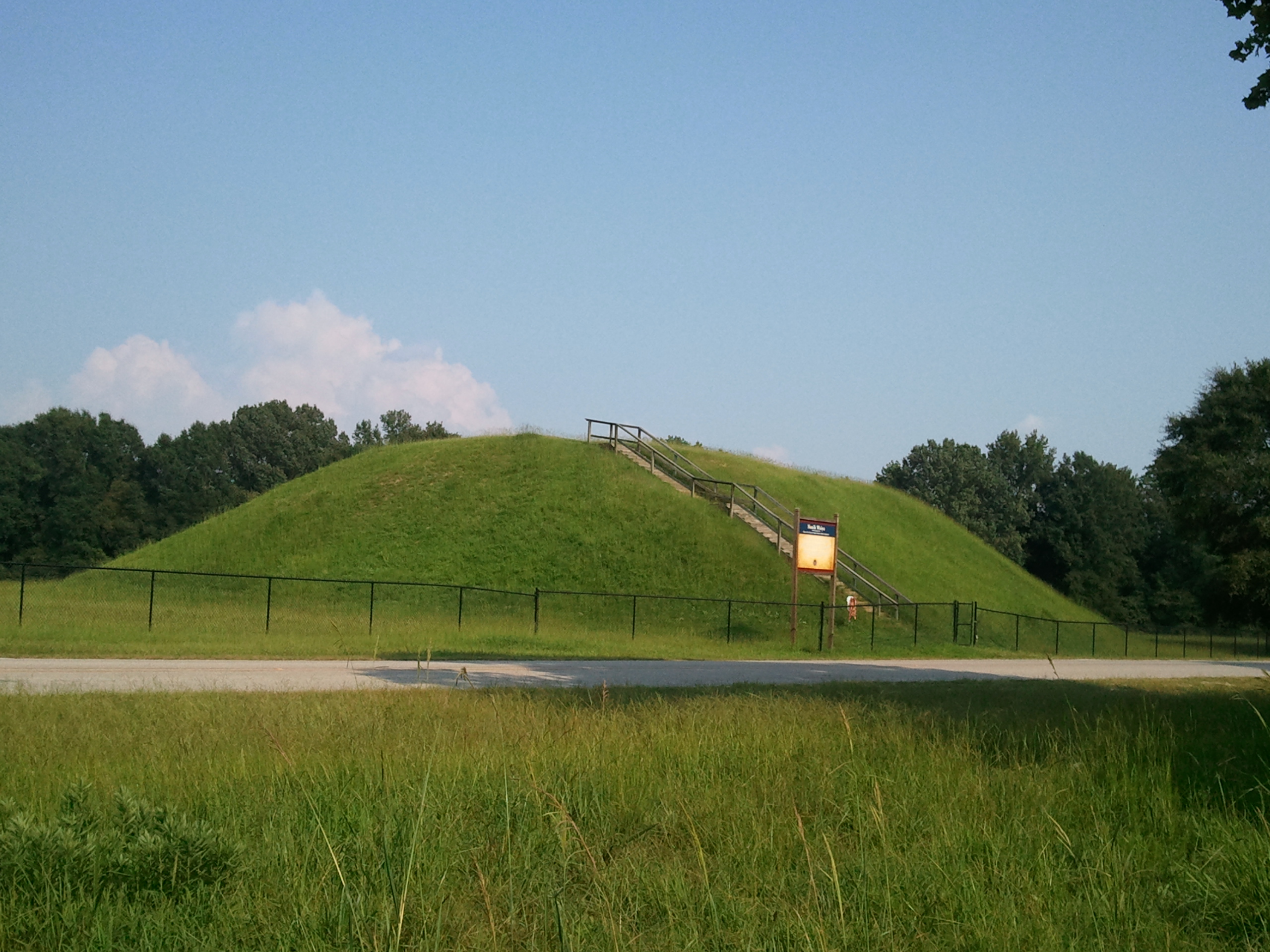 en:Nanih Waiya mound, a platform mound in Winston County, Mississippi. It is located a mile west of Nanih Waiya cave, set in a heavily wooded, natural hill.