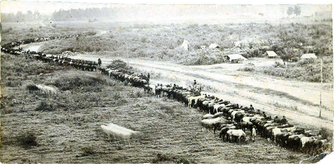Grierson's cavalrymen near the end of their 600-mile raid behind the Confederate lines. While this photo of Grierson's Raiders is purportedly by an unnamed Confederate spy, it was actually by Andrew David Lytle, a Baton Rouge photographer who openly photographed Union military, both army and navy, in and around Baton Rouge after the city was occupied in 1862.