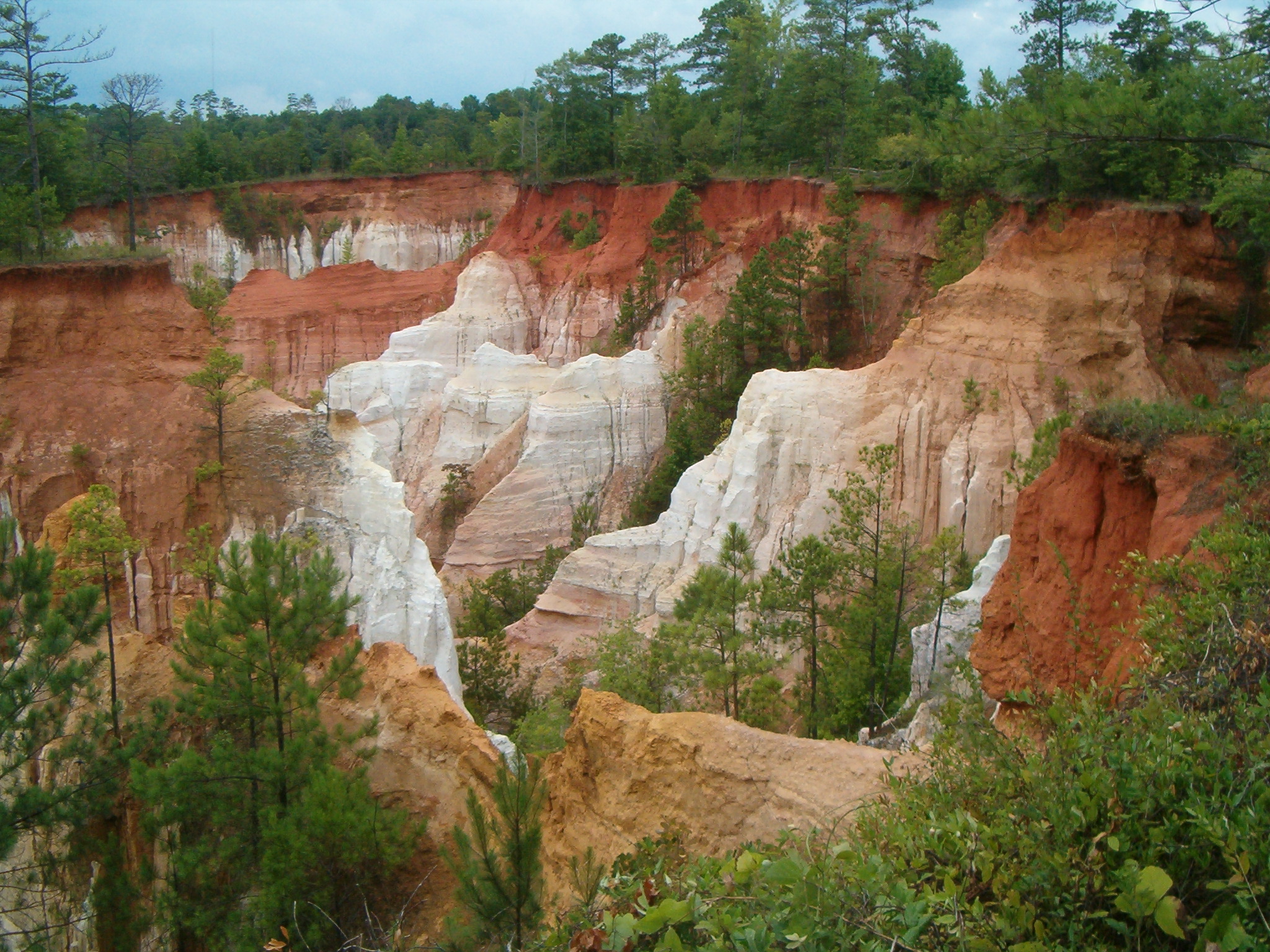 Photo of part of Providence Canyon from rim near entrance road.