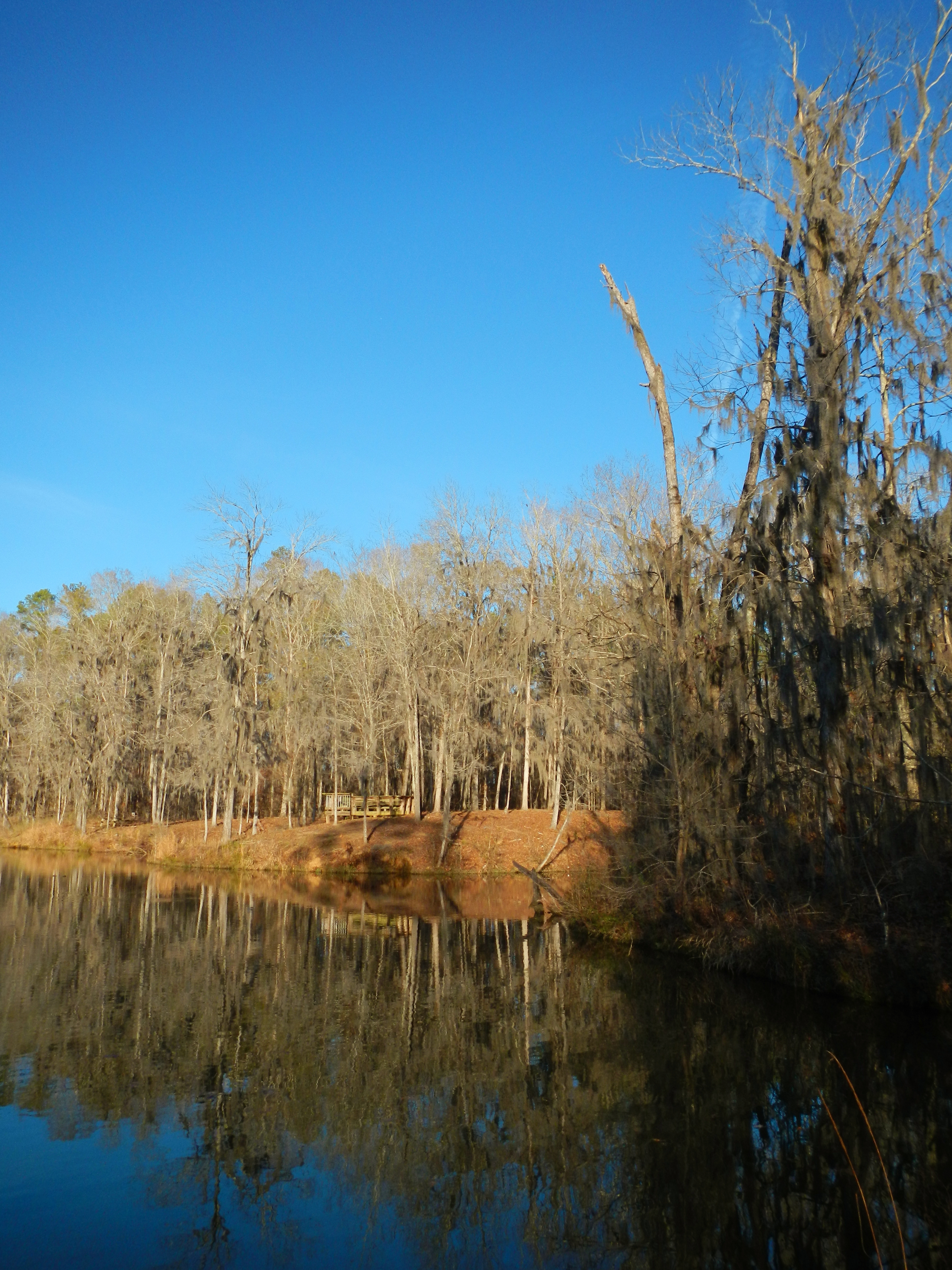 This is a photo of the Holy Ground Battlefield Park in White Hall, Alabama.