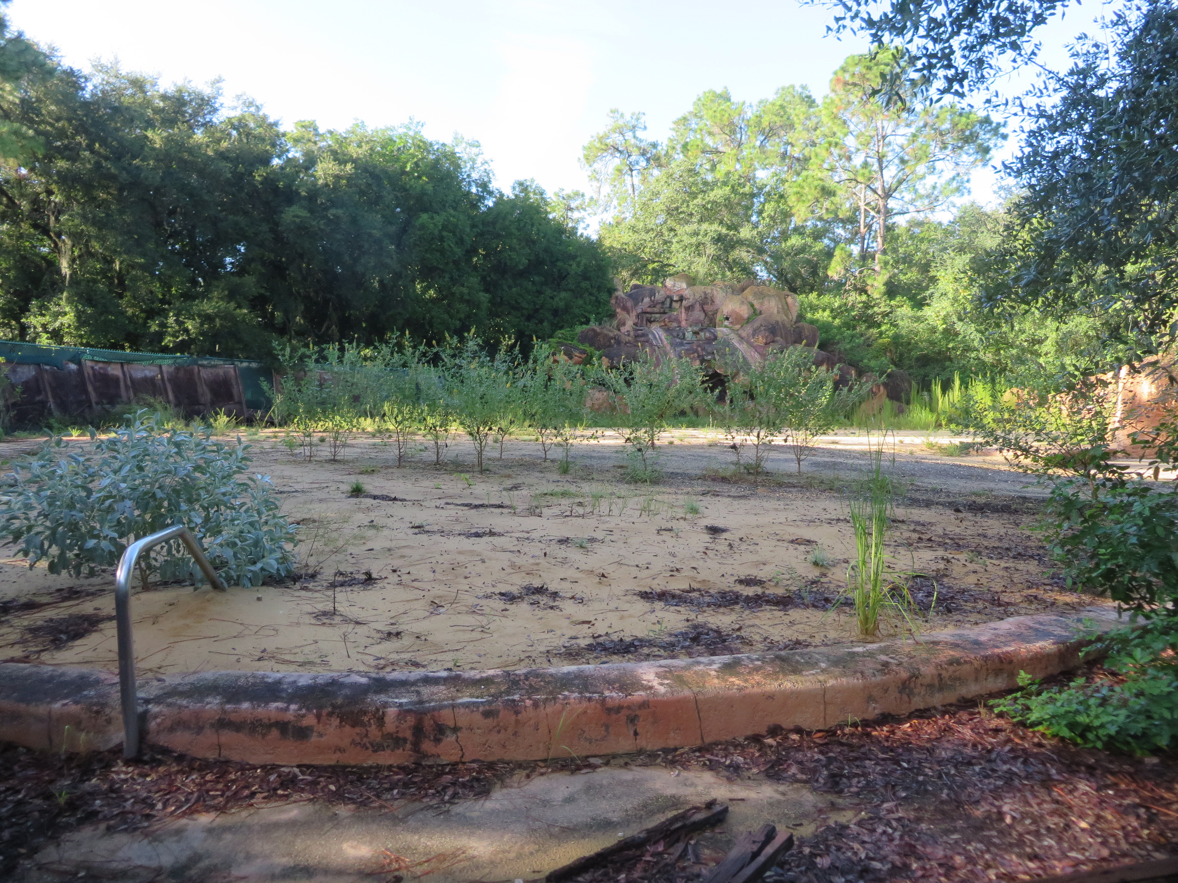 The Slippery Slide Falls and a filled in pool at the abandoned Disney's River Country.