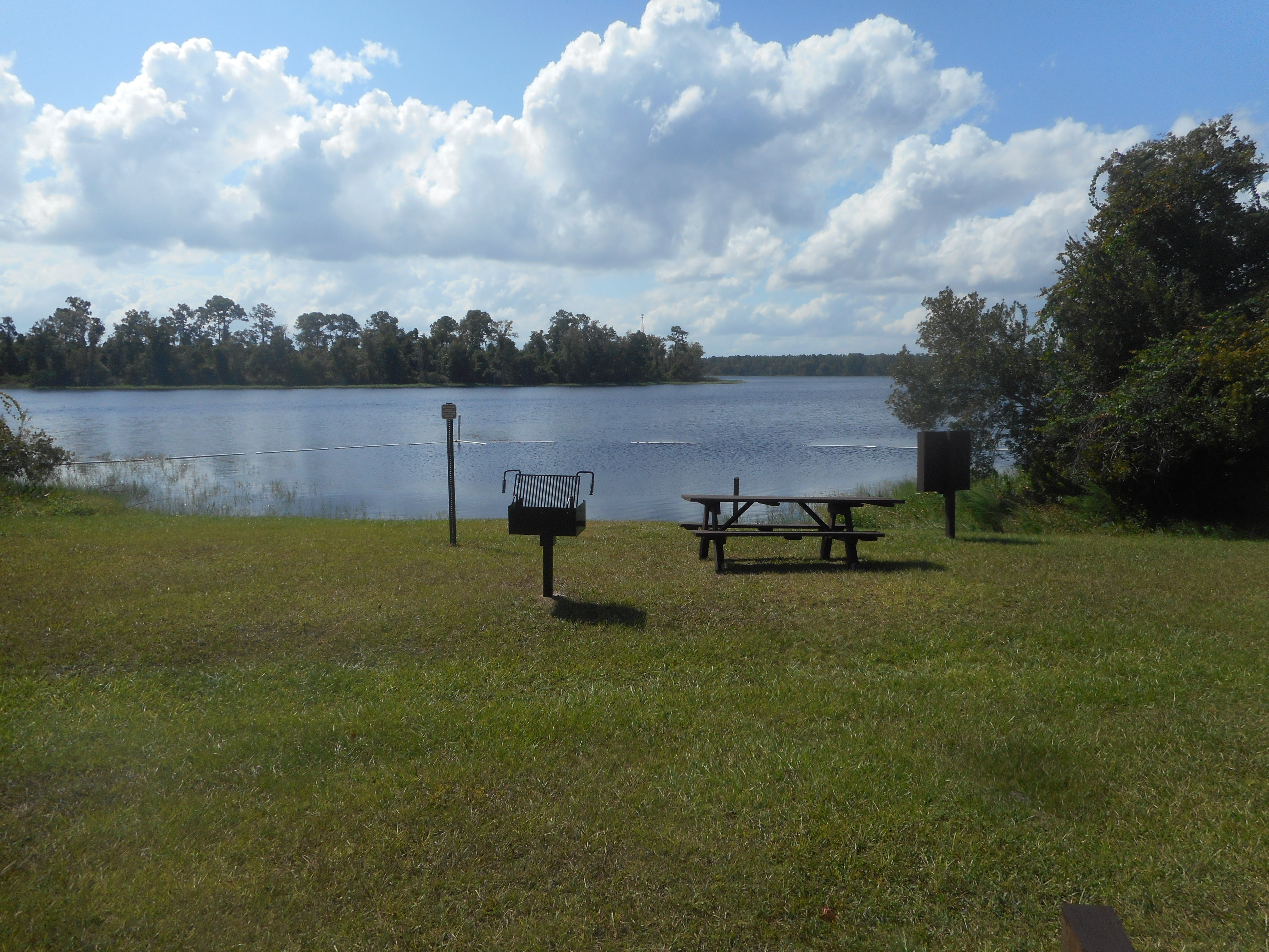 Public grille and picnic table on the north shore of Wildcat Lake at the Wildcat Lake Recreational Area within Ocala National Forest in Lake County, Florida. Picnicking at the lake is a safer activity in the area than swimming.