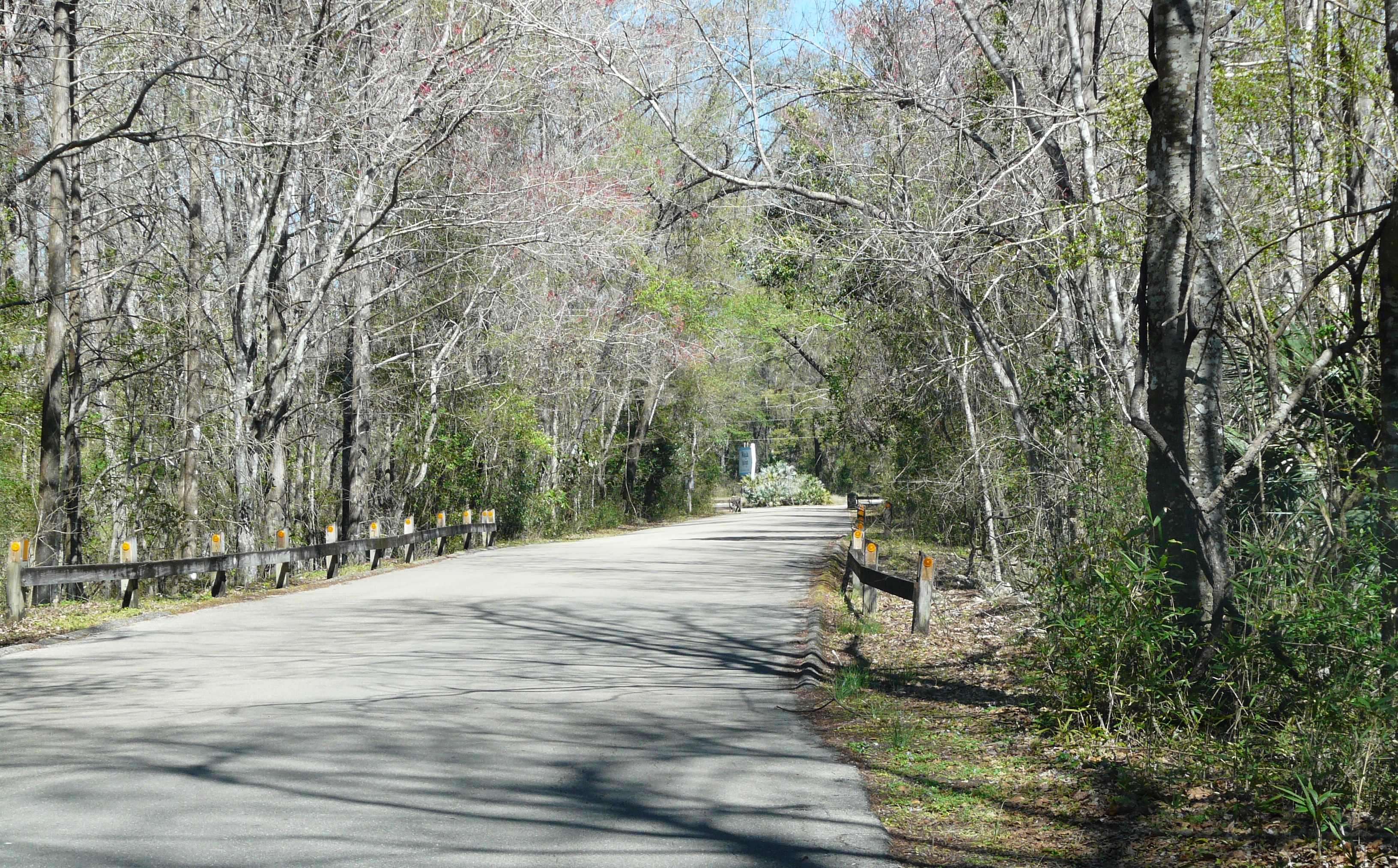 Crossing of the Wakulla River on Wakulla Park Drive in Edward Ball Wakulla Springs State Park.