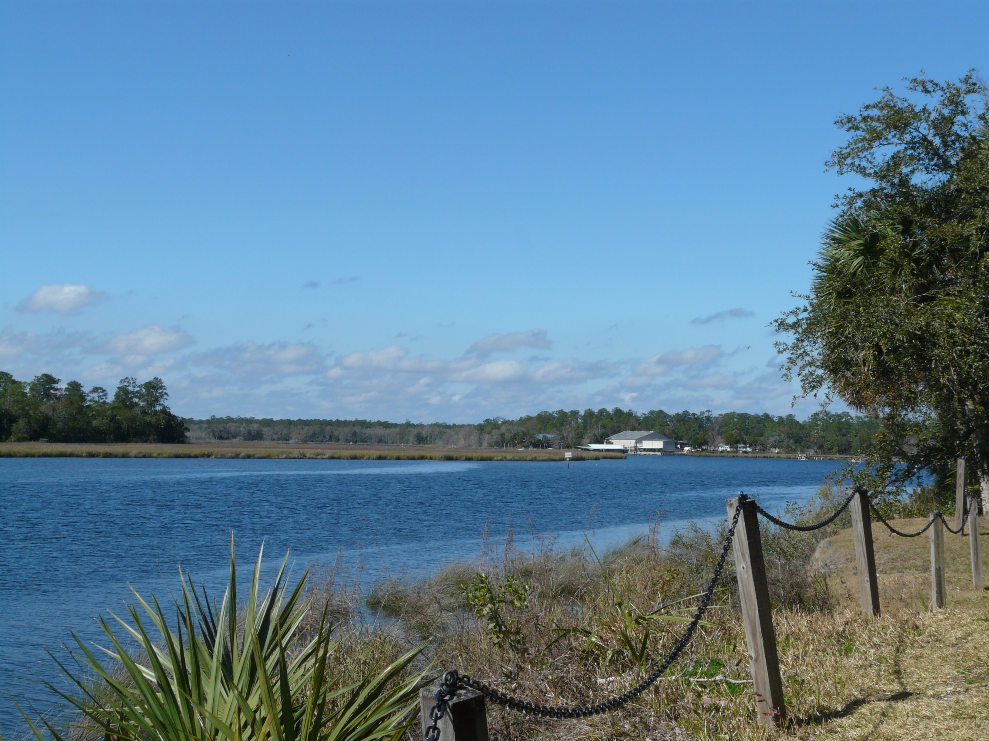 The Wakulla River looking upstream from San Marcos de Apalache Historic State Park.
