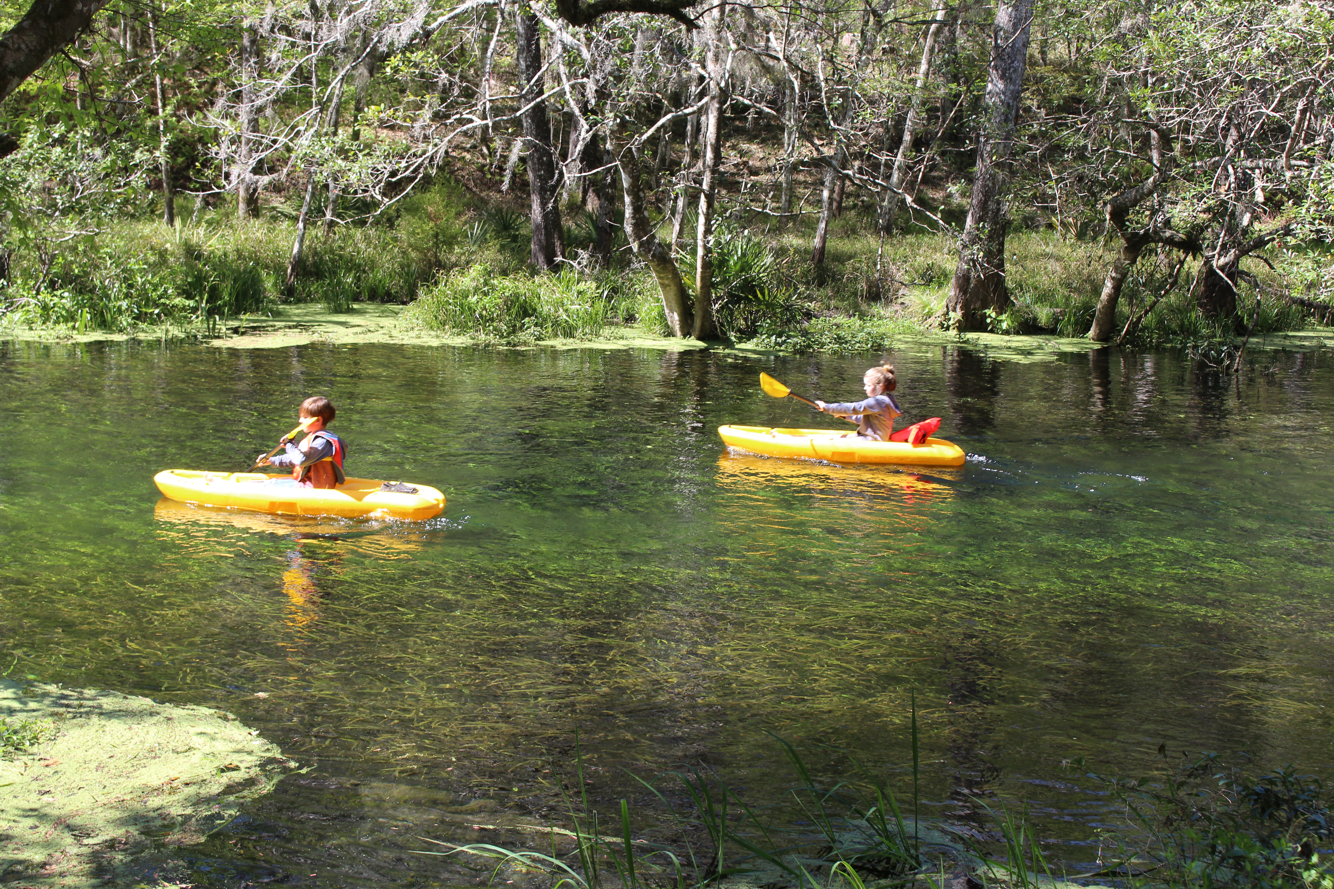 Ichetucknee Springs State Park, Columbia County, Florida