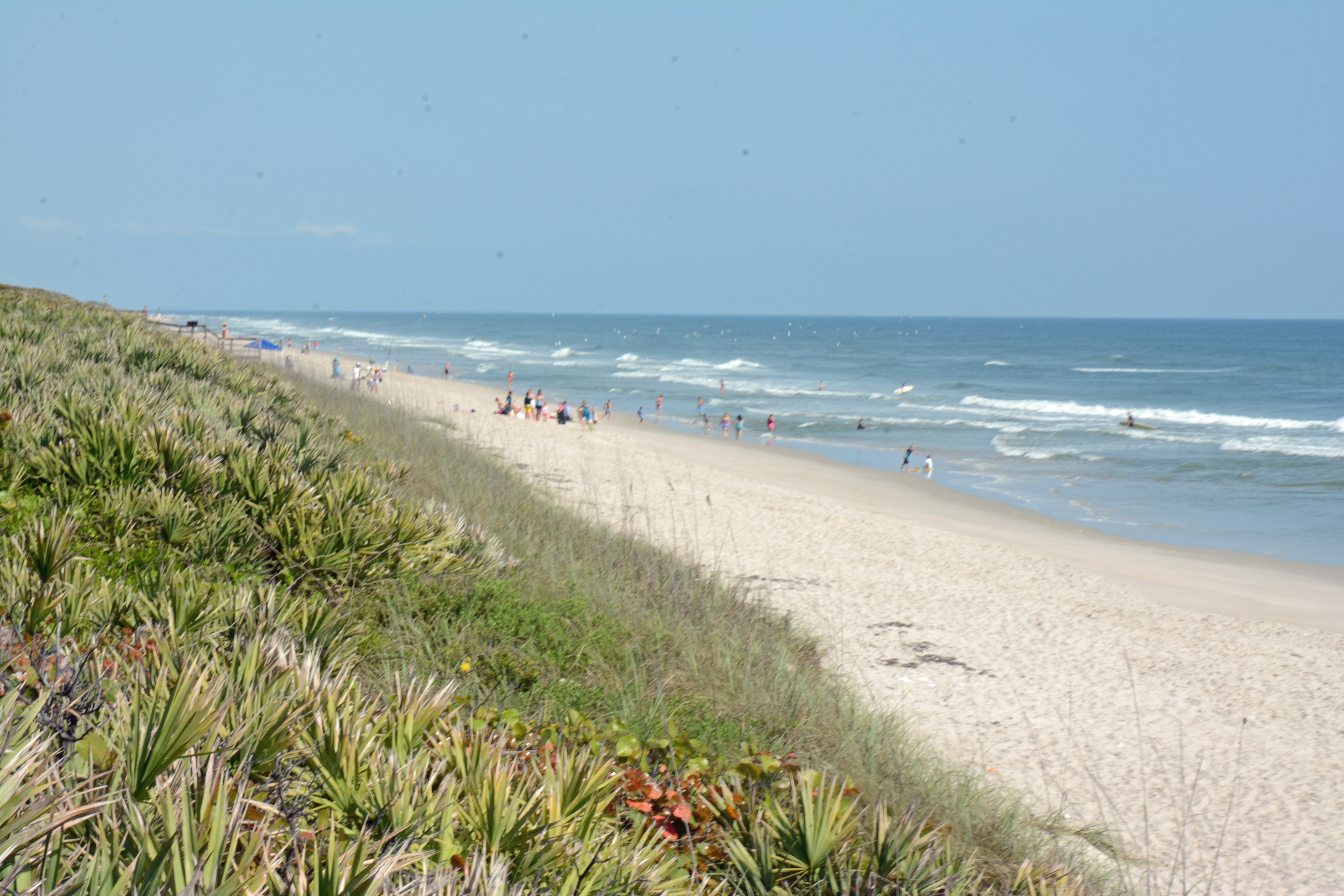 Canaveral National Seashore 2015