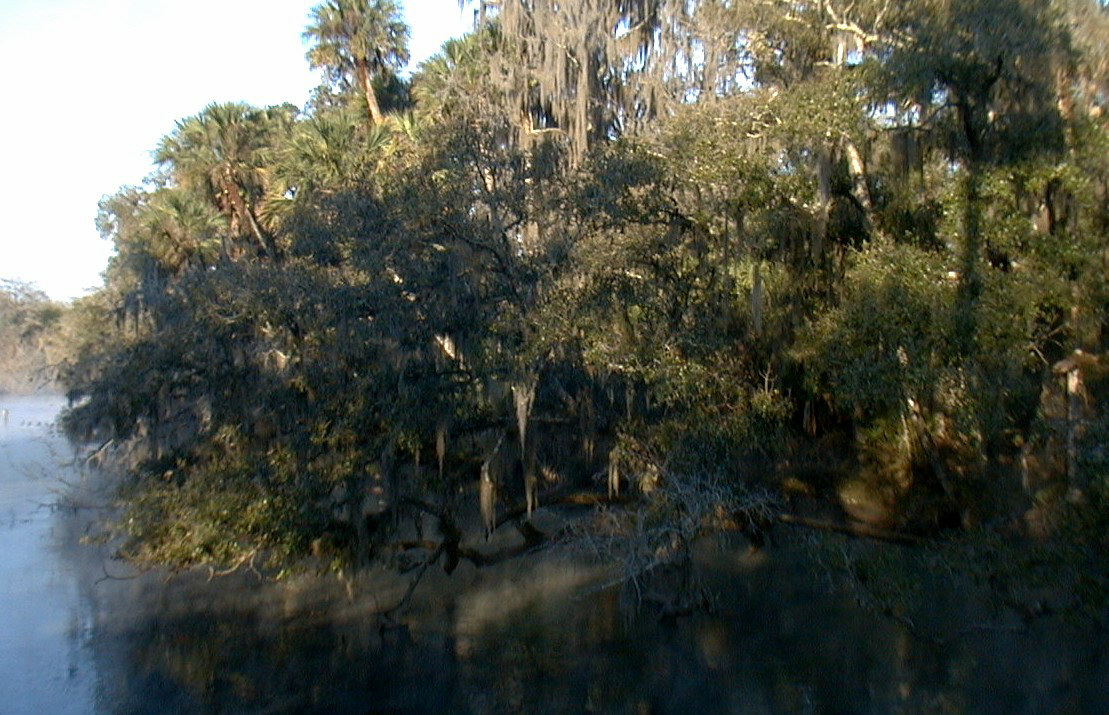 Entrance to Blue Spring from the St. Johns River.
Taken by User:Mwanner, February, 2004.