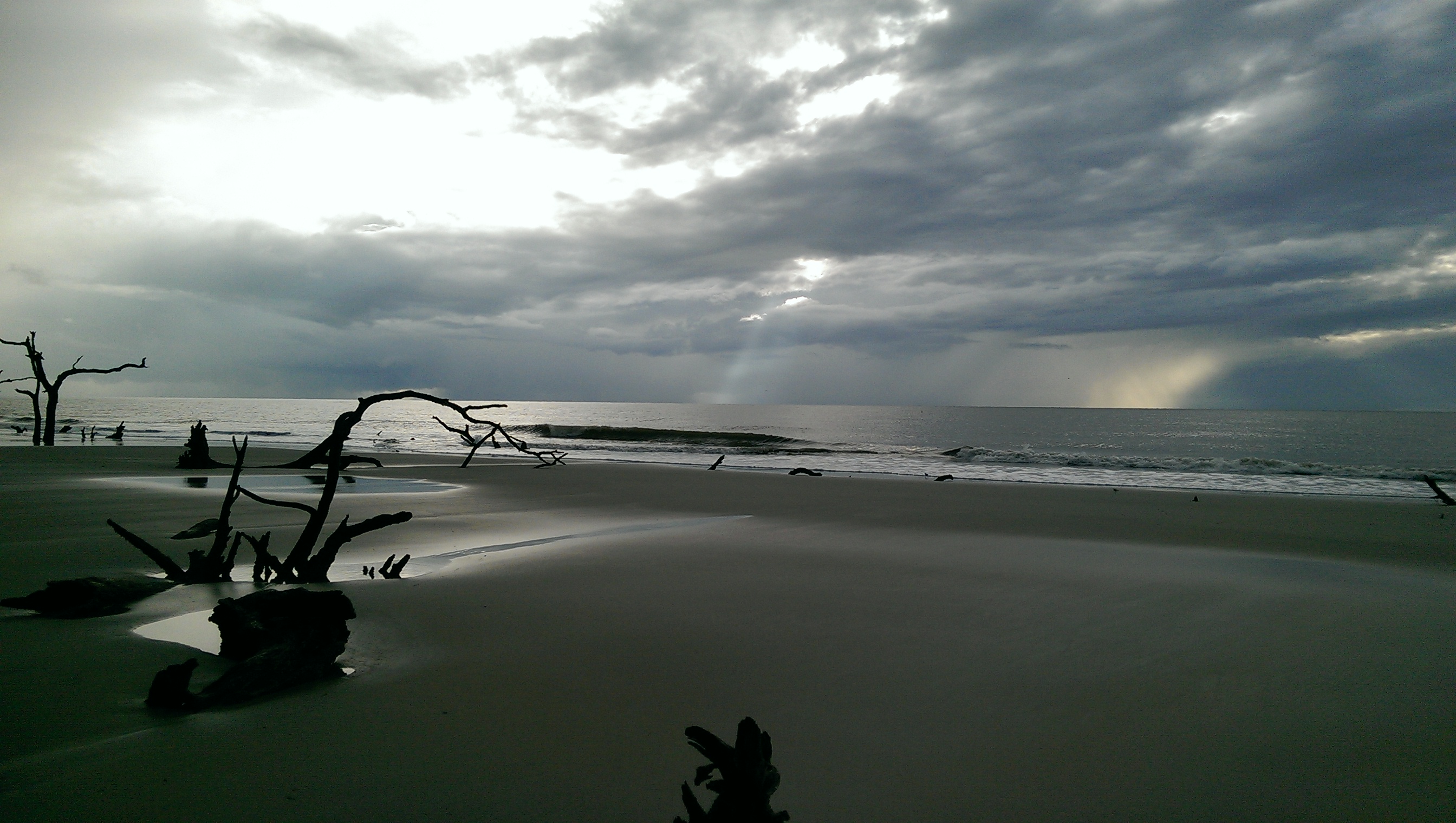 This boneyard was created by the ever-shifting coastline that has encroached upon the tree-line of the maritime forest of St. Catherines Island, 10 mi. off the GA coast between St. Catherines Sound and Sapelo Sound, Liberty County, Ga.