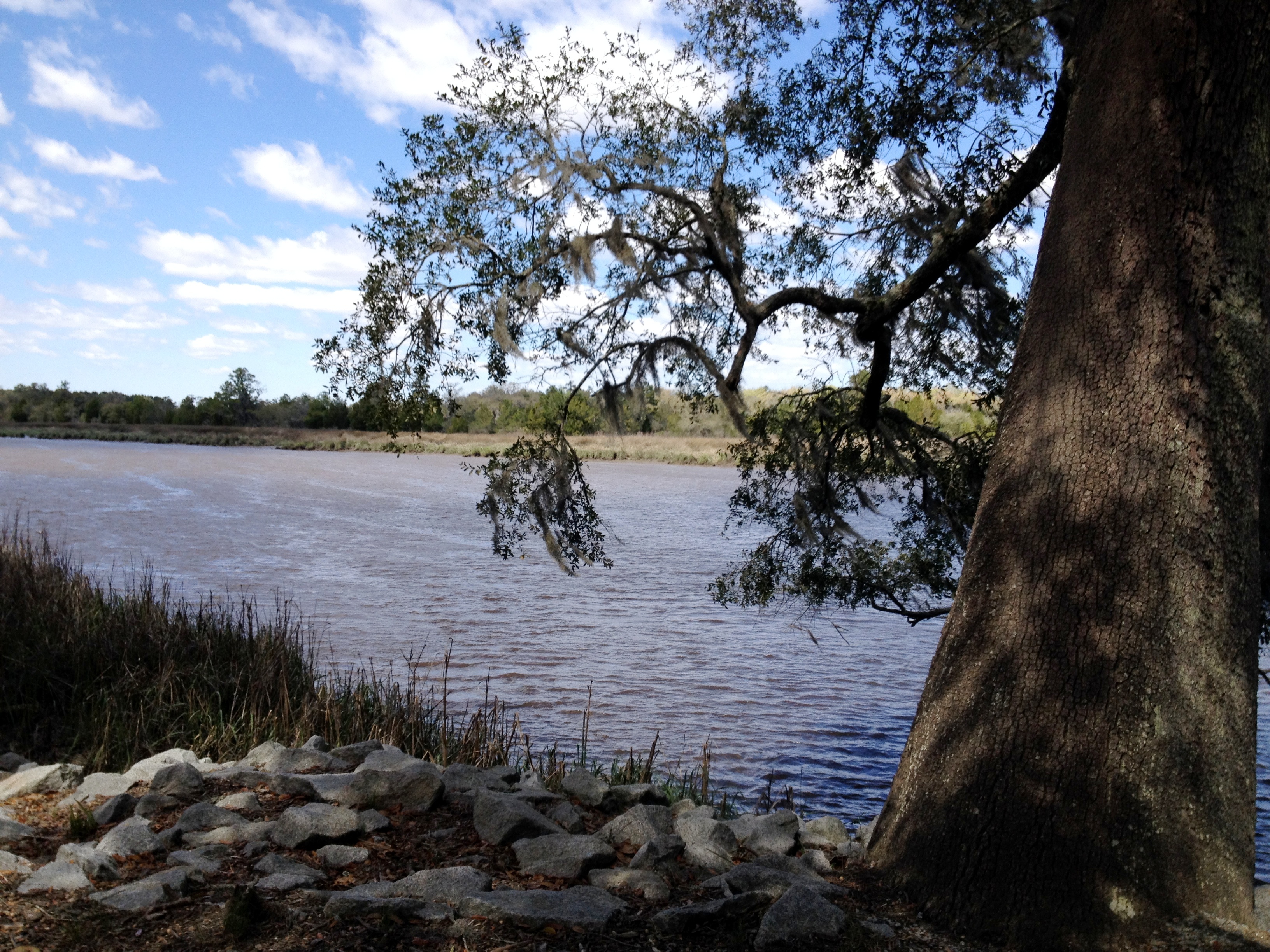 the ashley river, just behind drayton hall