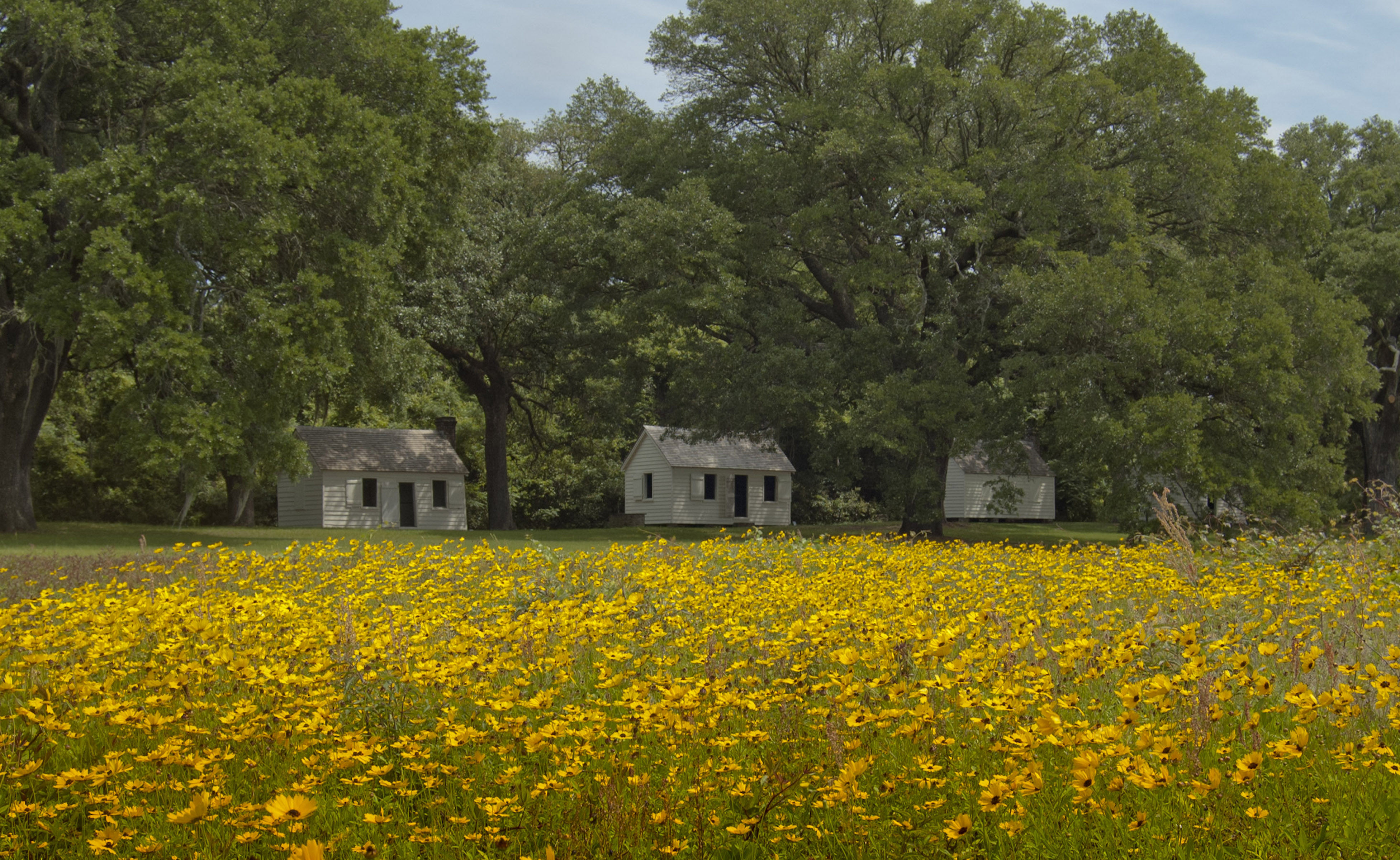 Enslaved Cabins at McLeod Plantation Historic Site