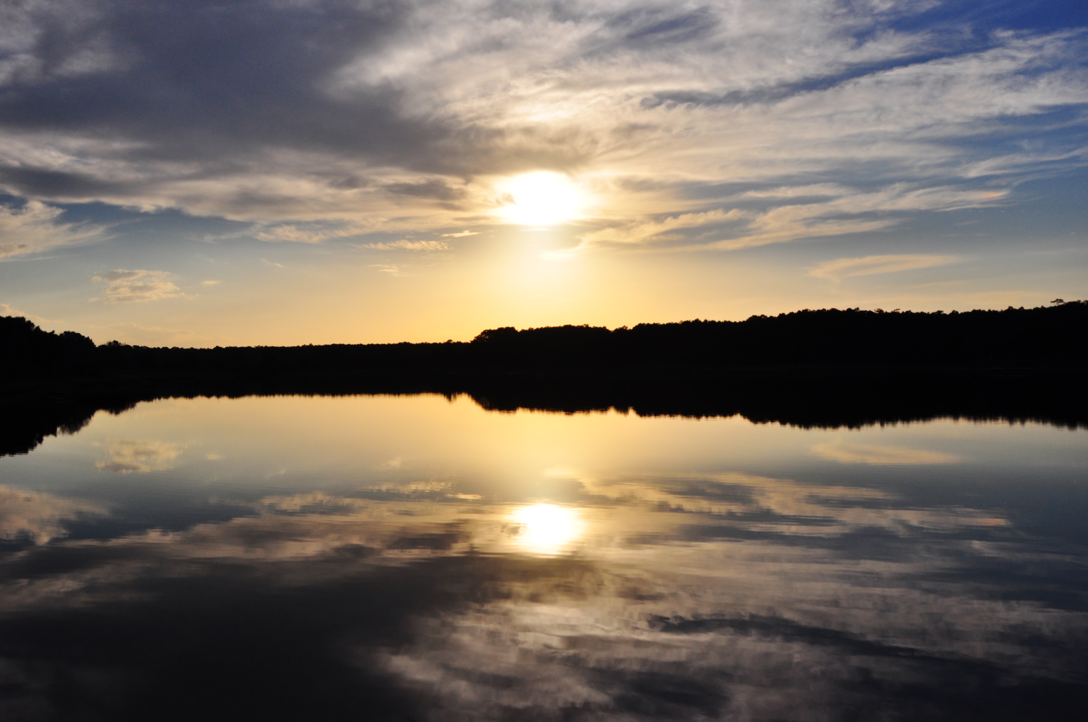 Huntington Beach State Park, South Carolina, USA
