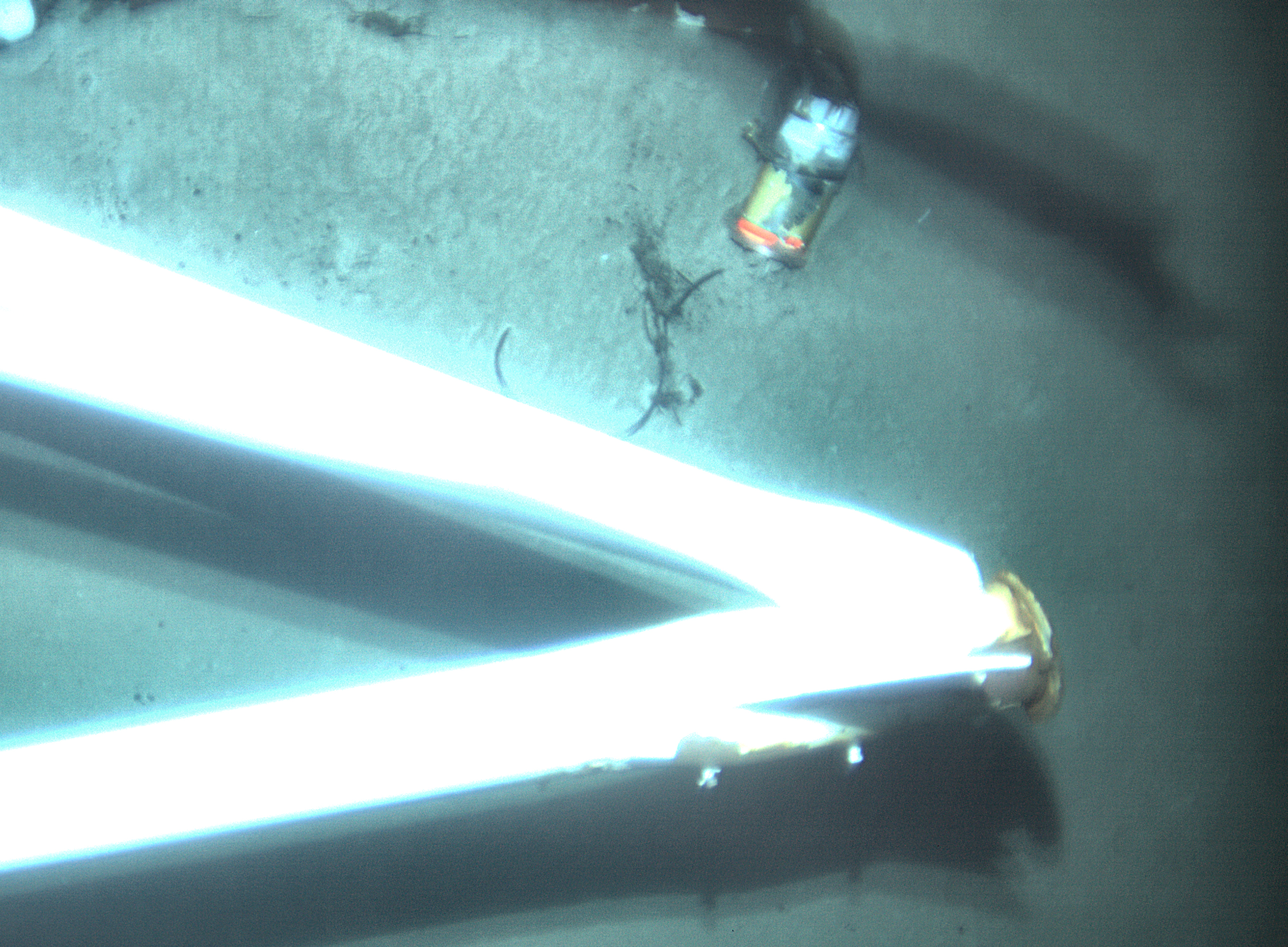 Voyage data recorder next to El Faro mast on ocean floor.