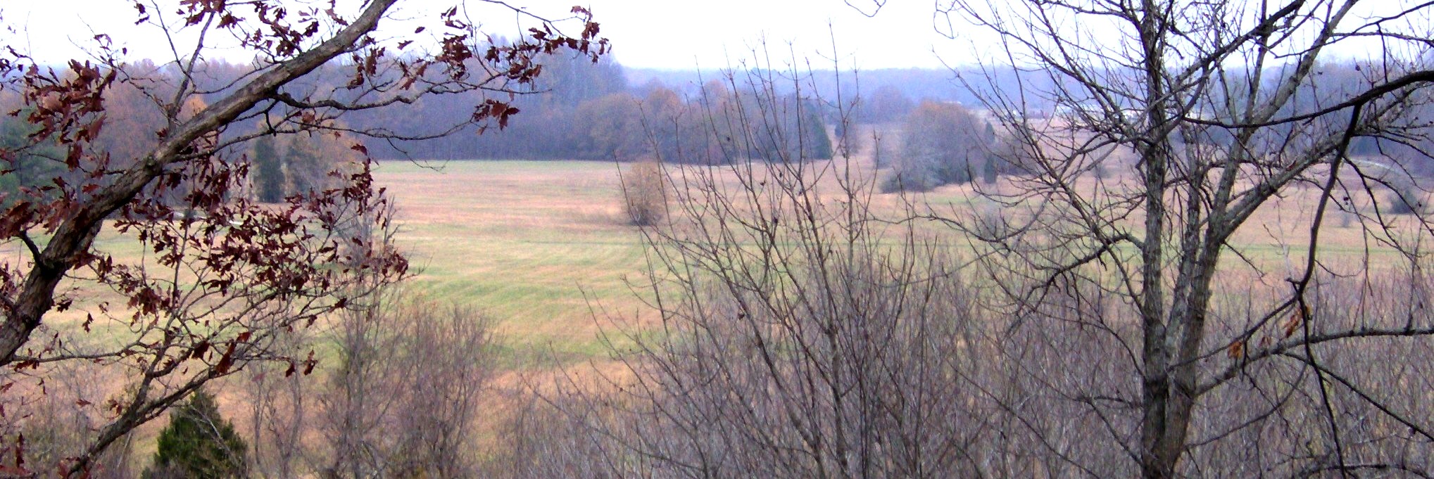View from atop Sauls' Mound (looking east) at Pinson Mounds State Archaeological Area in Madison County, Tennessee, located in the Southeastern United States.  Sauls' Mound is the second-highest prehistoric mound in the U.S.  The view is roughly in the direction of the Summer solstice sunrise.