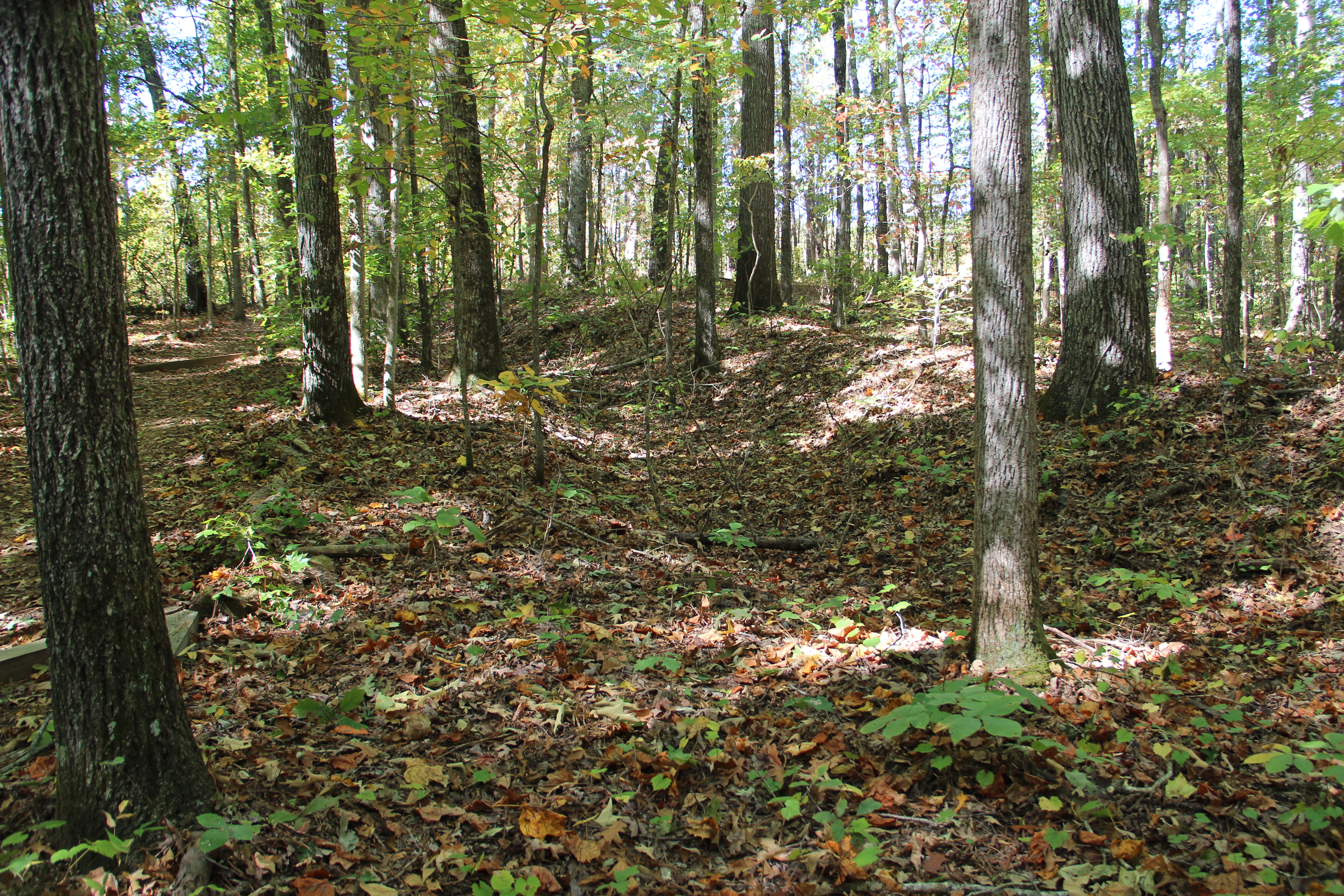 Remains of a trench dug during the Battle of Pickett's Mill