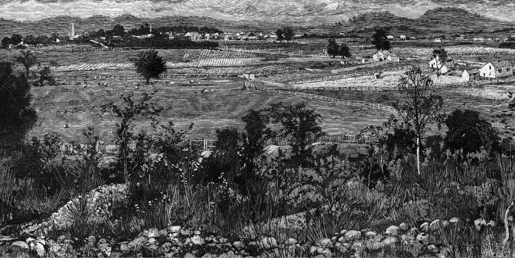 Franklin battlefield Battles and Leaders.jpg