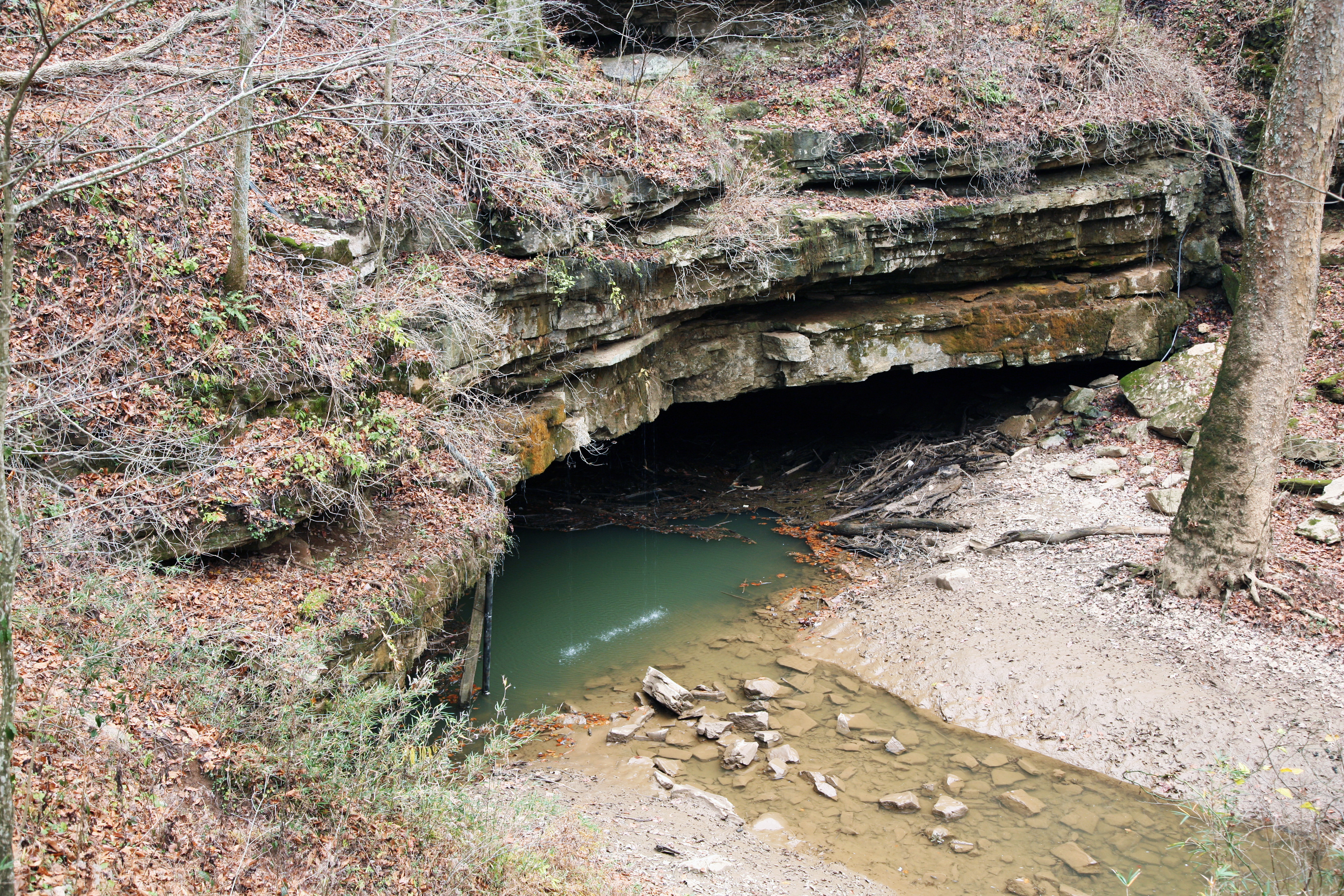 River Styx, a partly subterranean waterway, emerges onto the surface in Mammoth Cave National Park.