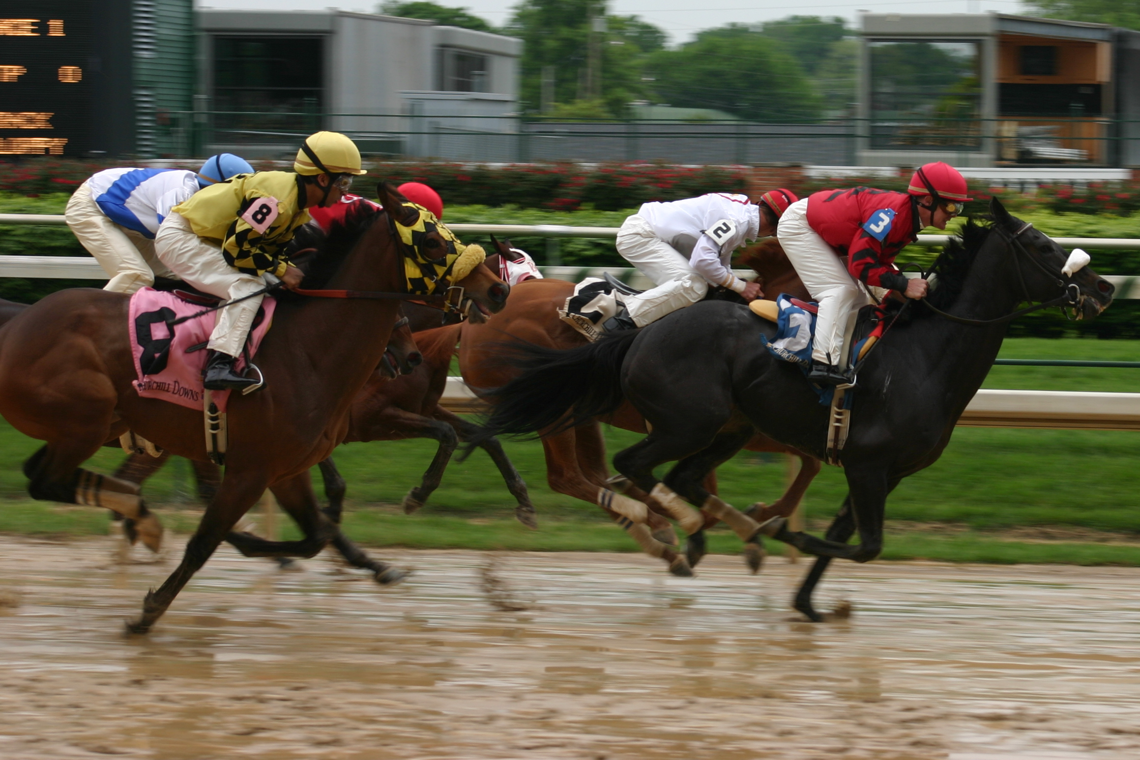 Horse racing, Churchill Downs