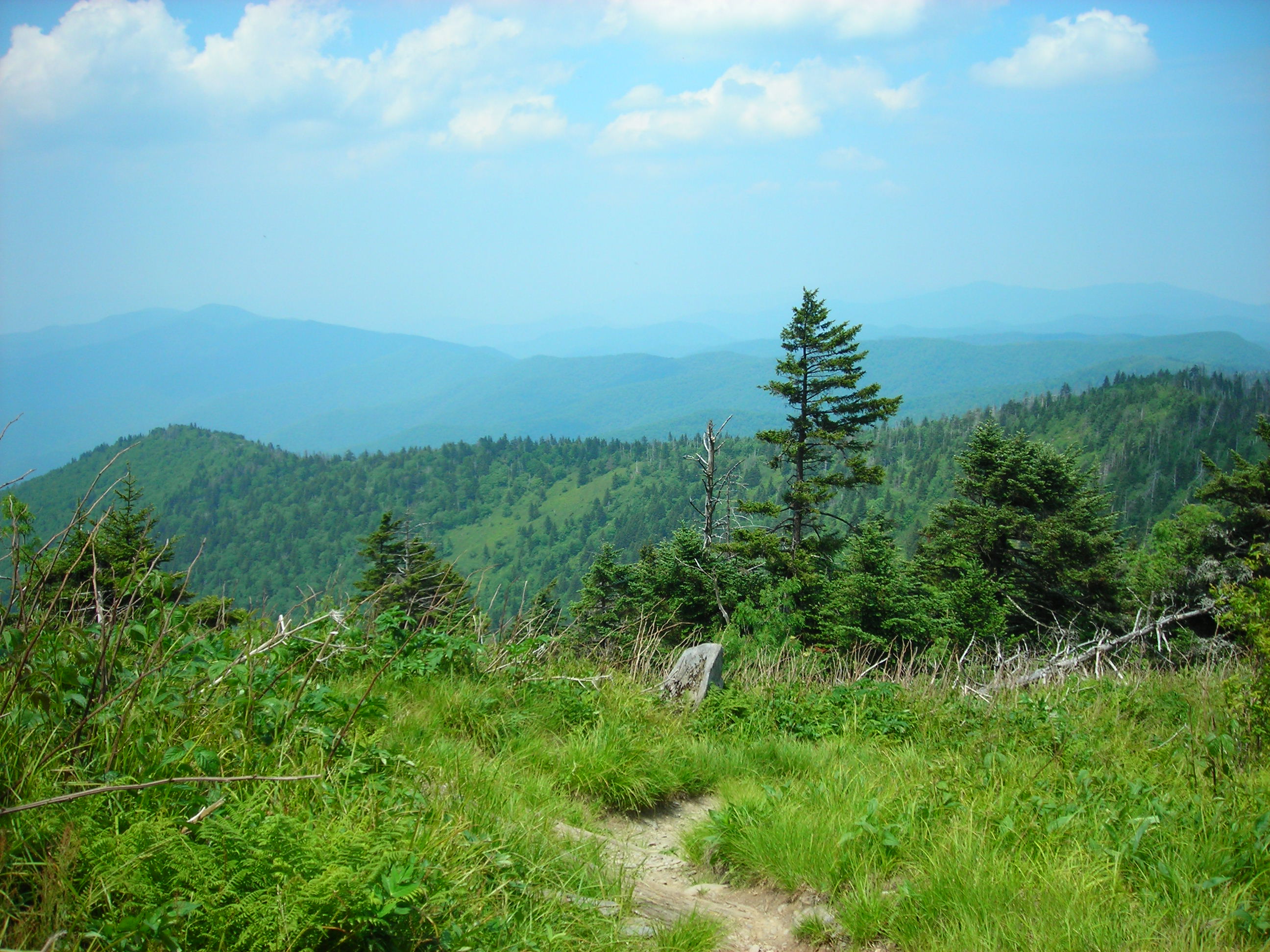 The Appalachian Trail, which leads over 2,100 miles from Maine to Georgia, seen here between Clingmans Dome and Double Springs Gap in the Great Smoky Mountains National Park.