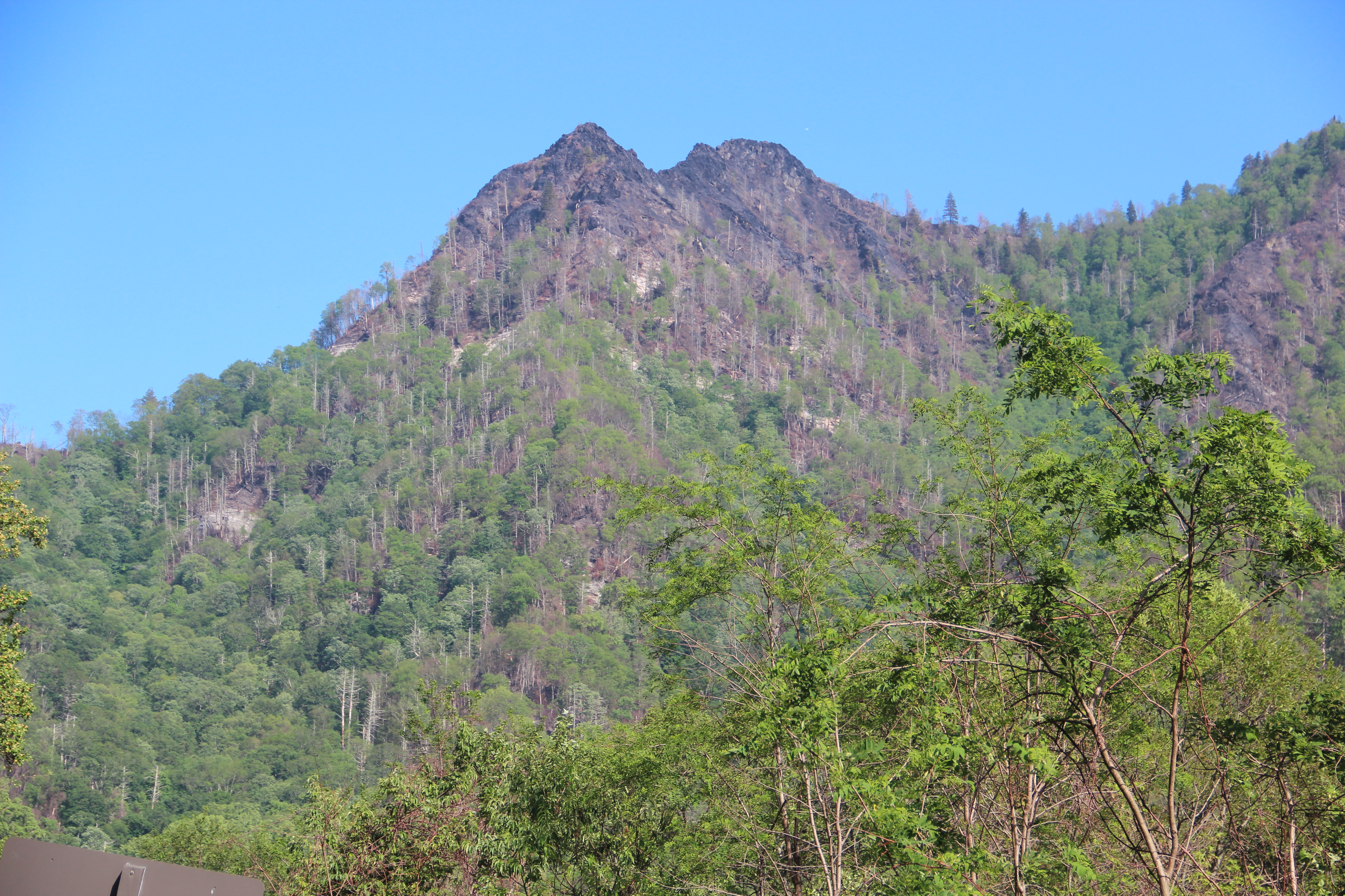 Chimney Tops viewed from Chimney Tops overlook. Burns from the 2016 Smoky Mountain fires are visible