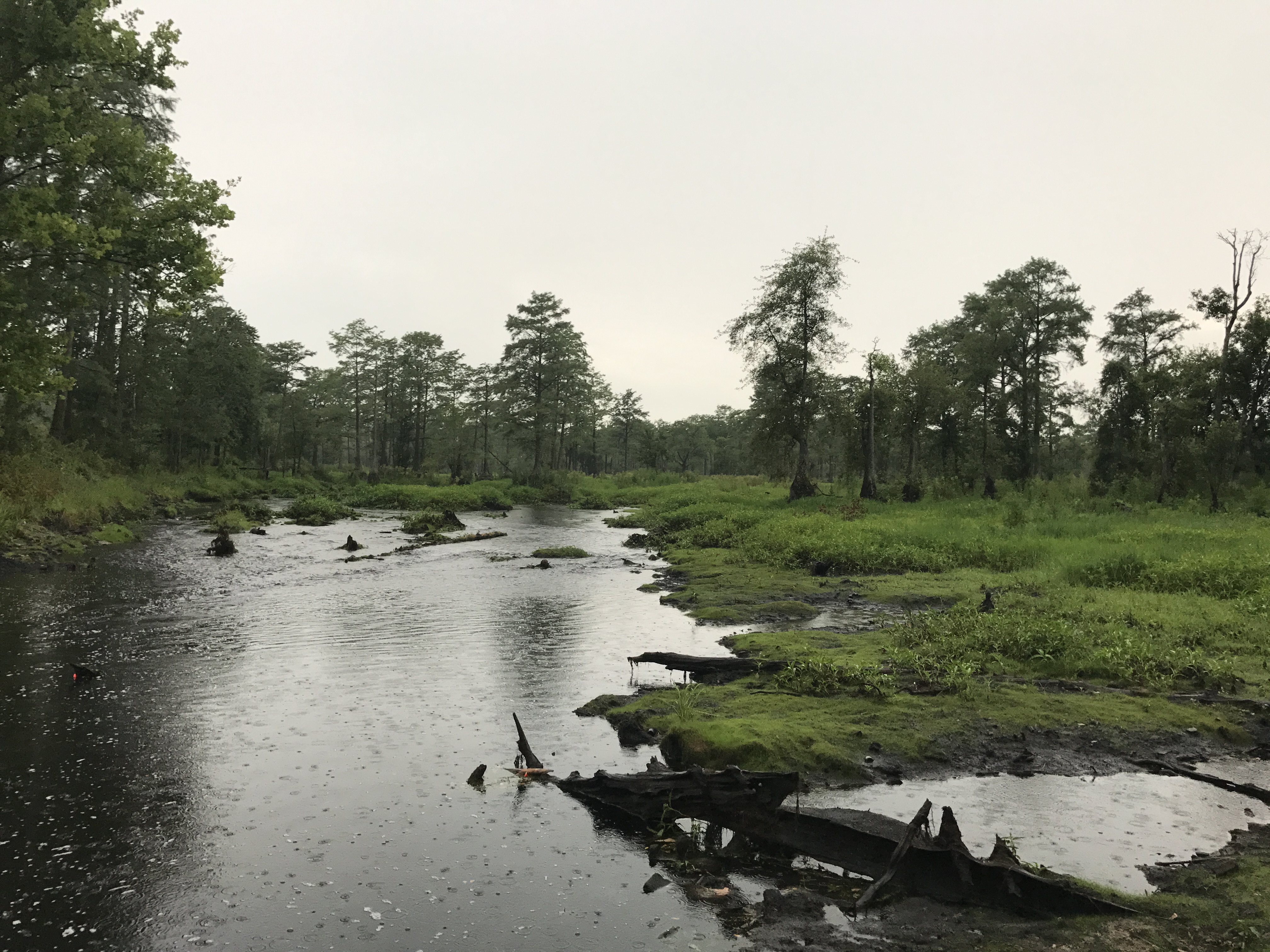 Hayes Pond, southwest of Maxton. Site of clash between KKK and Lumbee in January 1958.