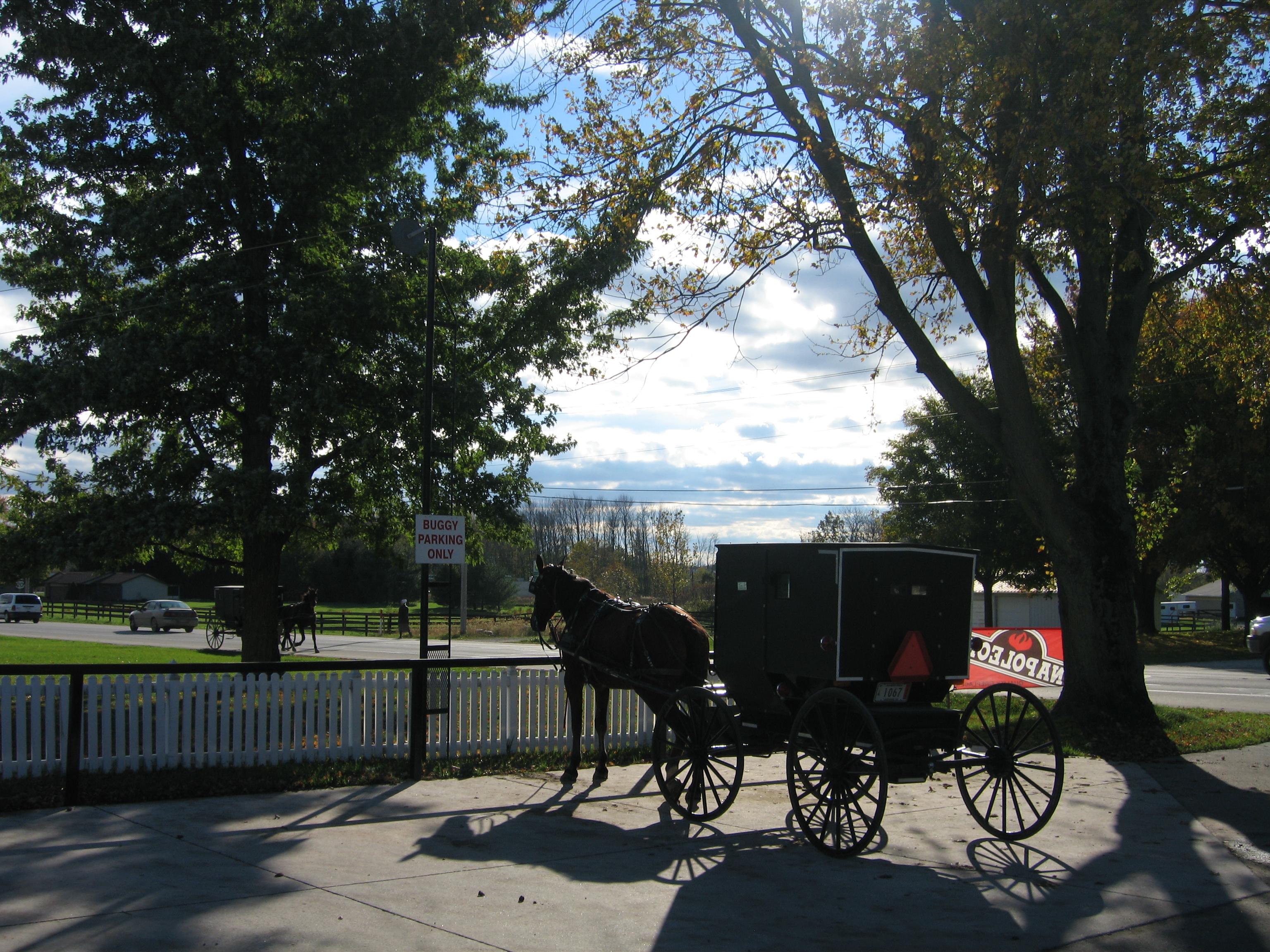 Mennonite / Amish buggy in Shipshewana, Indiana