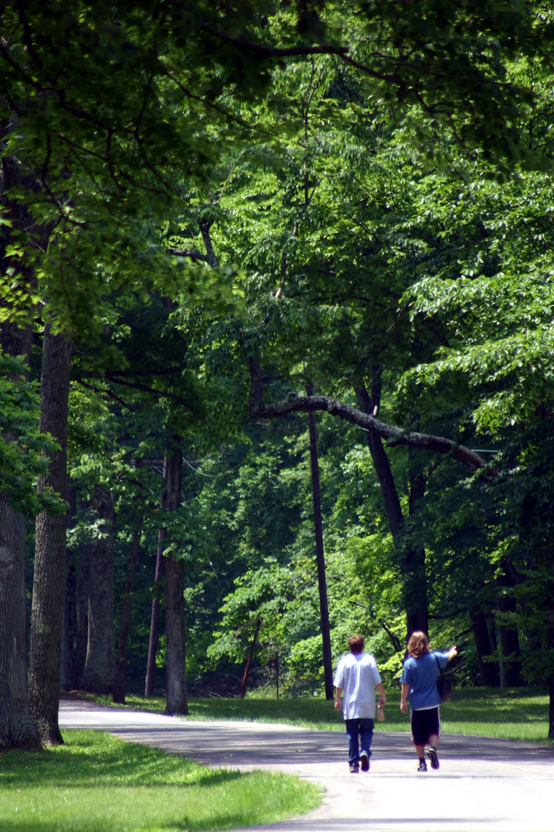 Visitors walk along the main trail among the 2000-year-old, tree-covered earthen walls at Fort Ancient National Historic Landmark in Ohio.