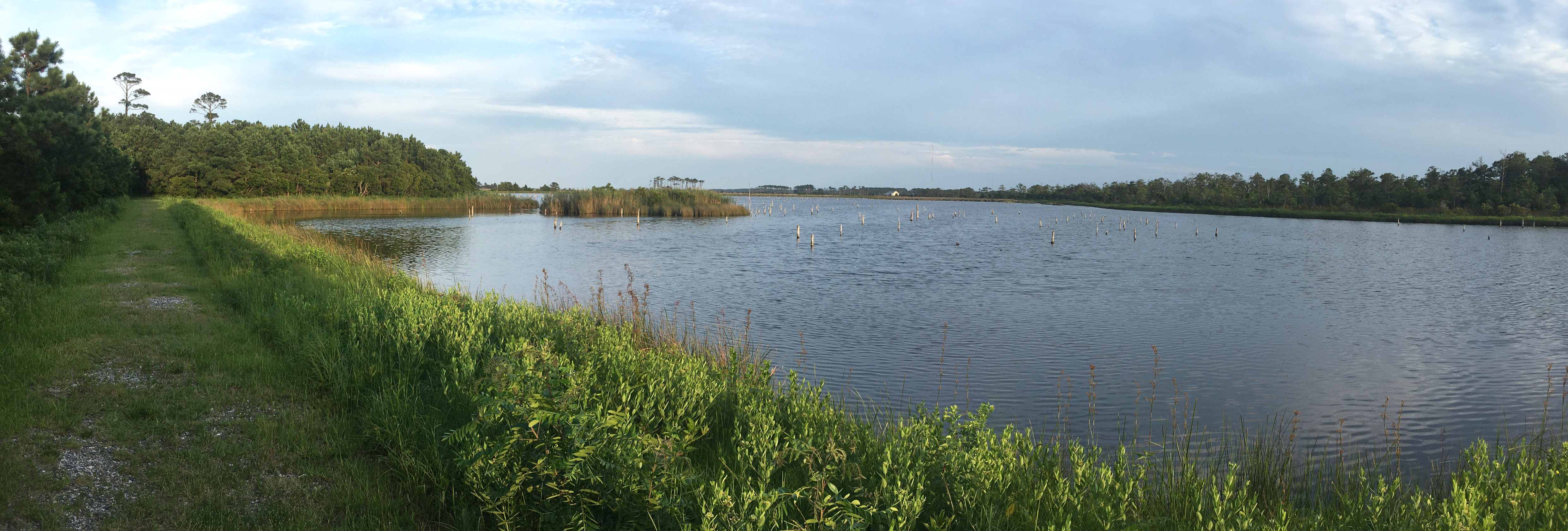 Roanoke Island Marshes Dedicated Preserve on Roanoke Island, North Carolina