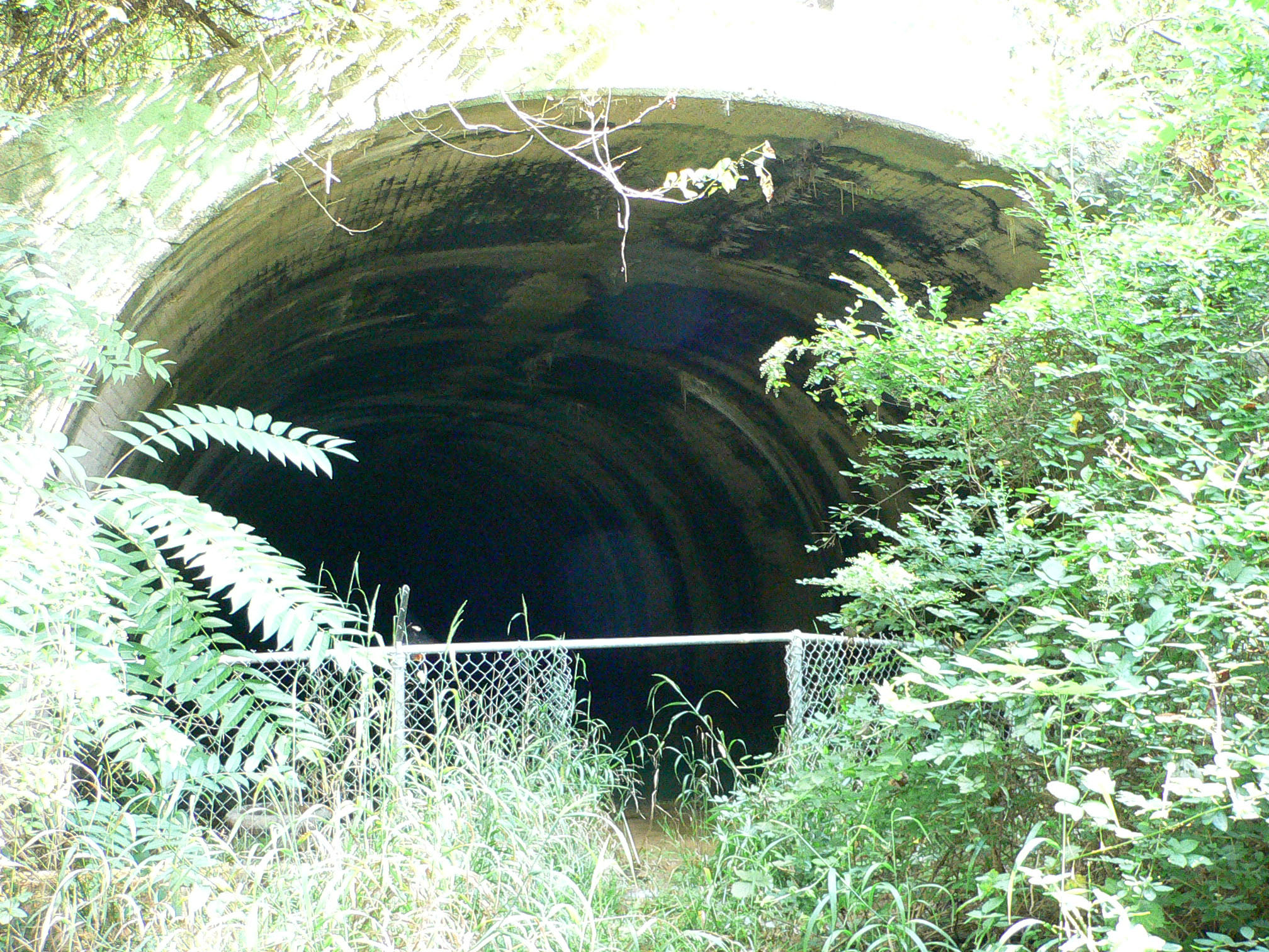 The eastern entrance to the Church Hill tunnel in Richmond, Virginia, in 2010. The tunnel collapsed in 1925, but this end is still open for some distance.