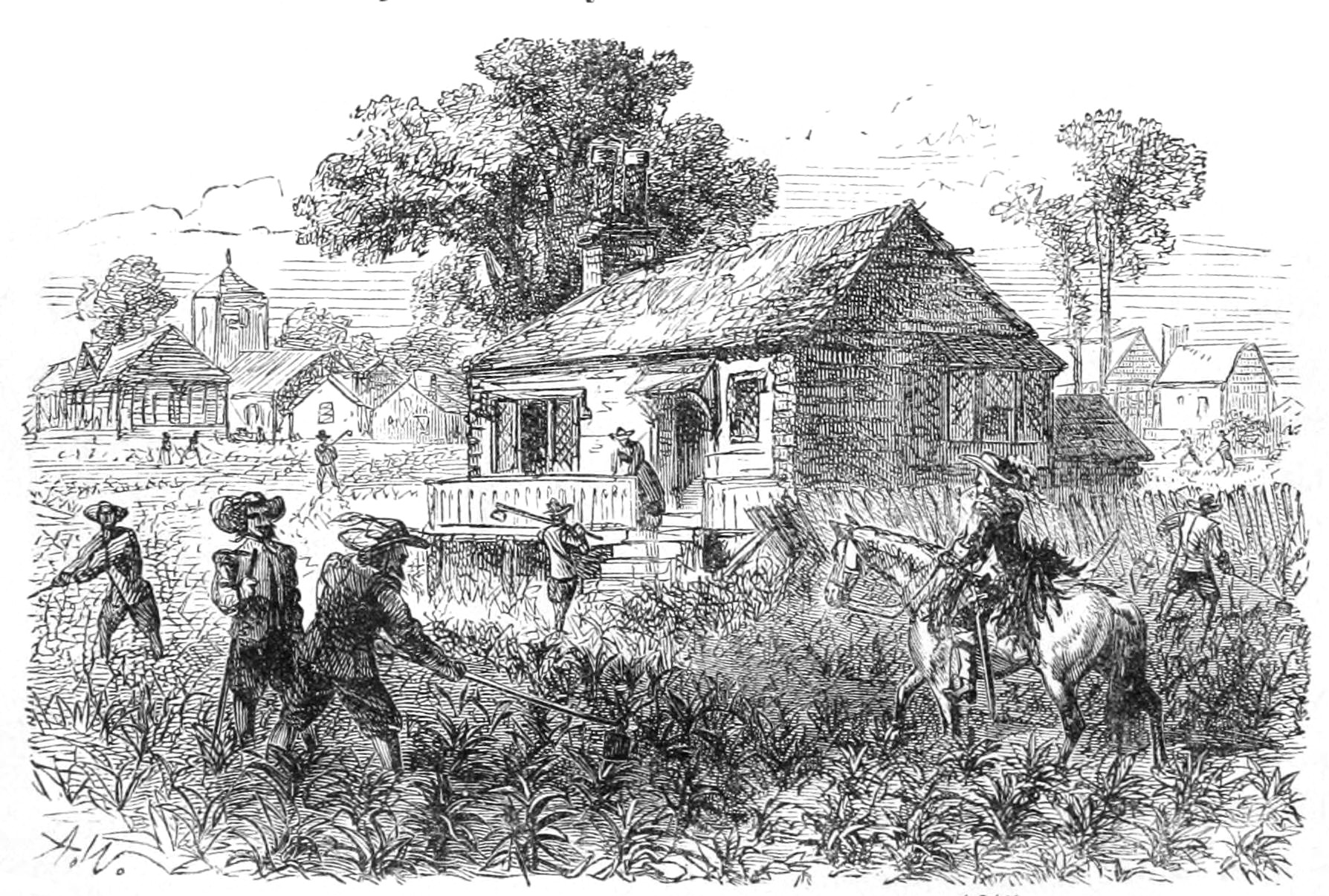 An 1878 depiction of tobacco cultivation at Jamestown, ca. 1615. From A School History of the United States, from the Discovery of America to the Year 1878 by David B. Scott (1878); available at the Internet Archive