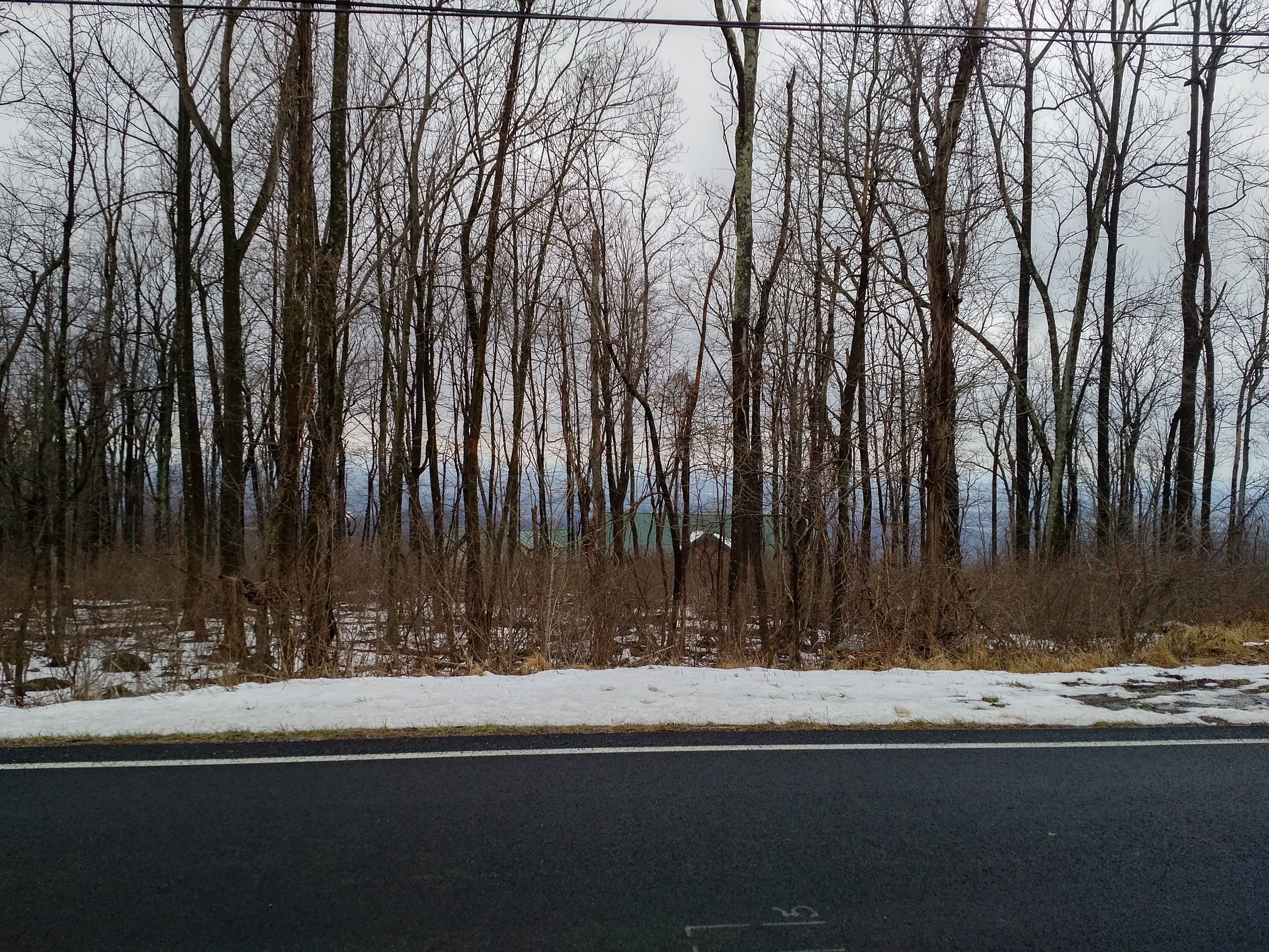 Looking west from the site of the crash of TWA flight 514 at Mount Weather, Virginia, in 2017, approximately 42 years after the crash.