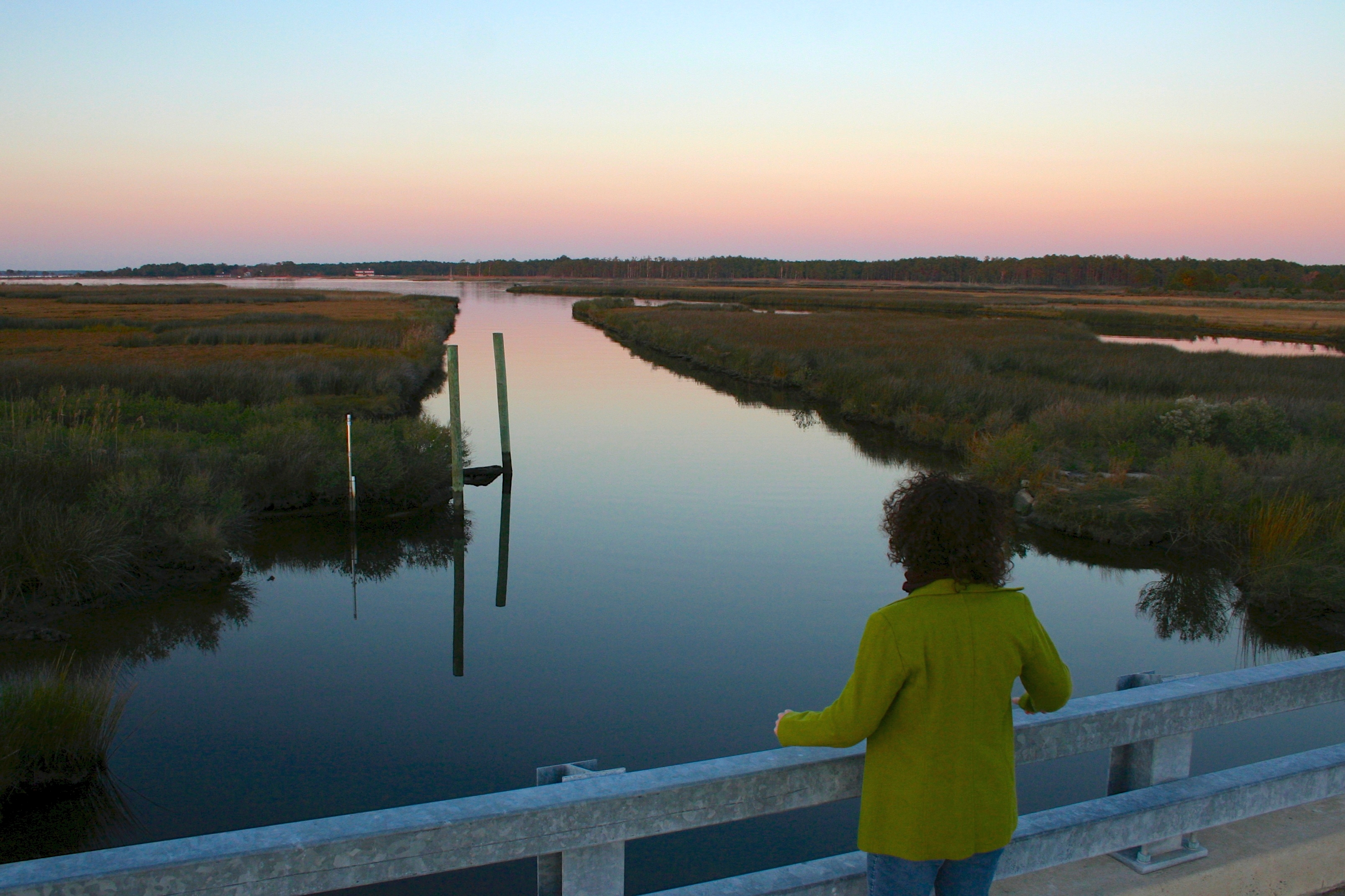 Stewart's Canal in Harriet Tubman Underground Railroad National Monument