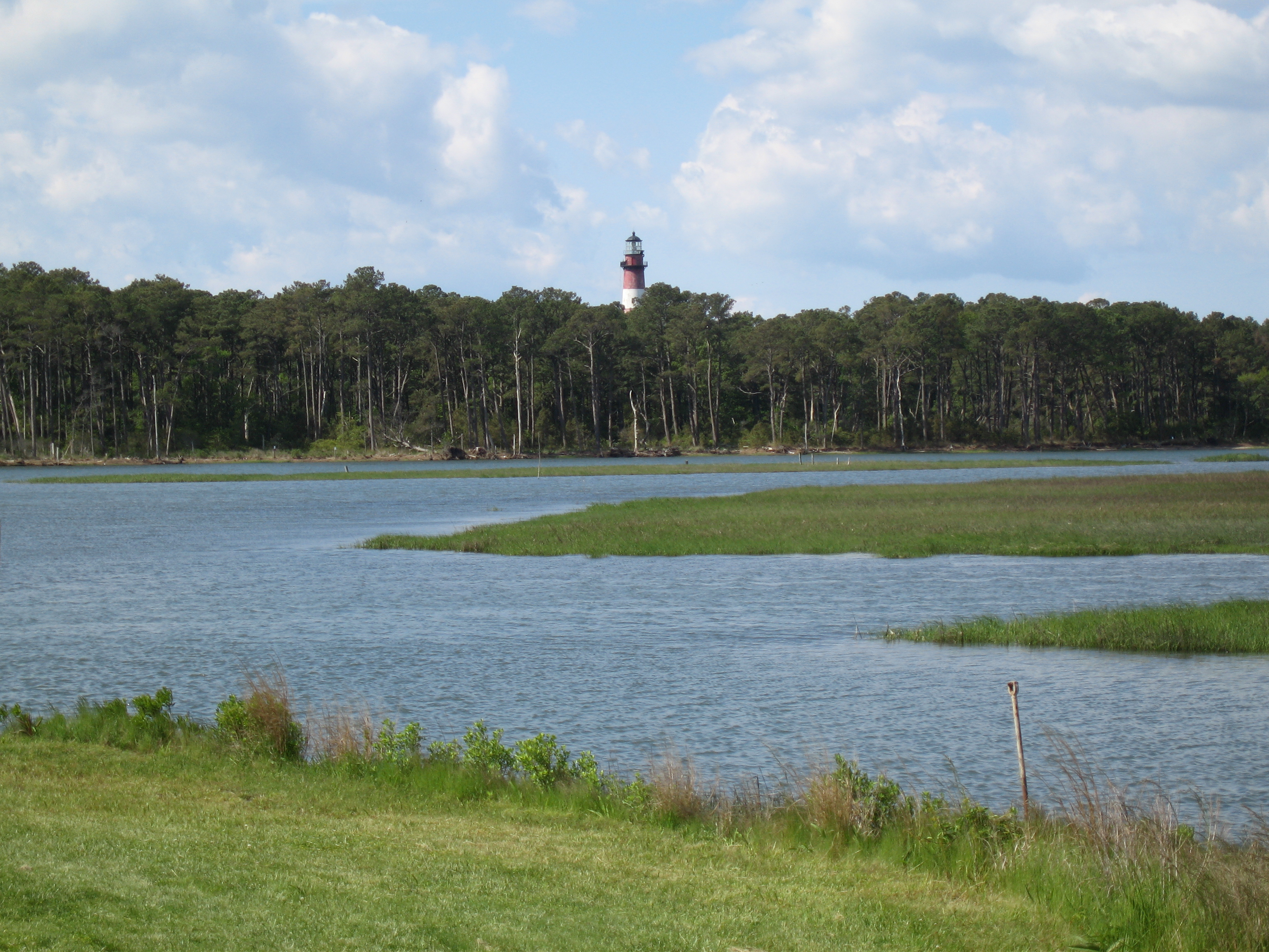 Chincoteague National Wildlife Refuge on Assateague Island, Virginia showing the Assateague Channel with the Assateague Light in the distance.  Photograph taken in May 2008 from Maddox Boulevard facing south, showing the north side of the island.