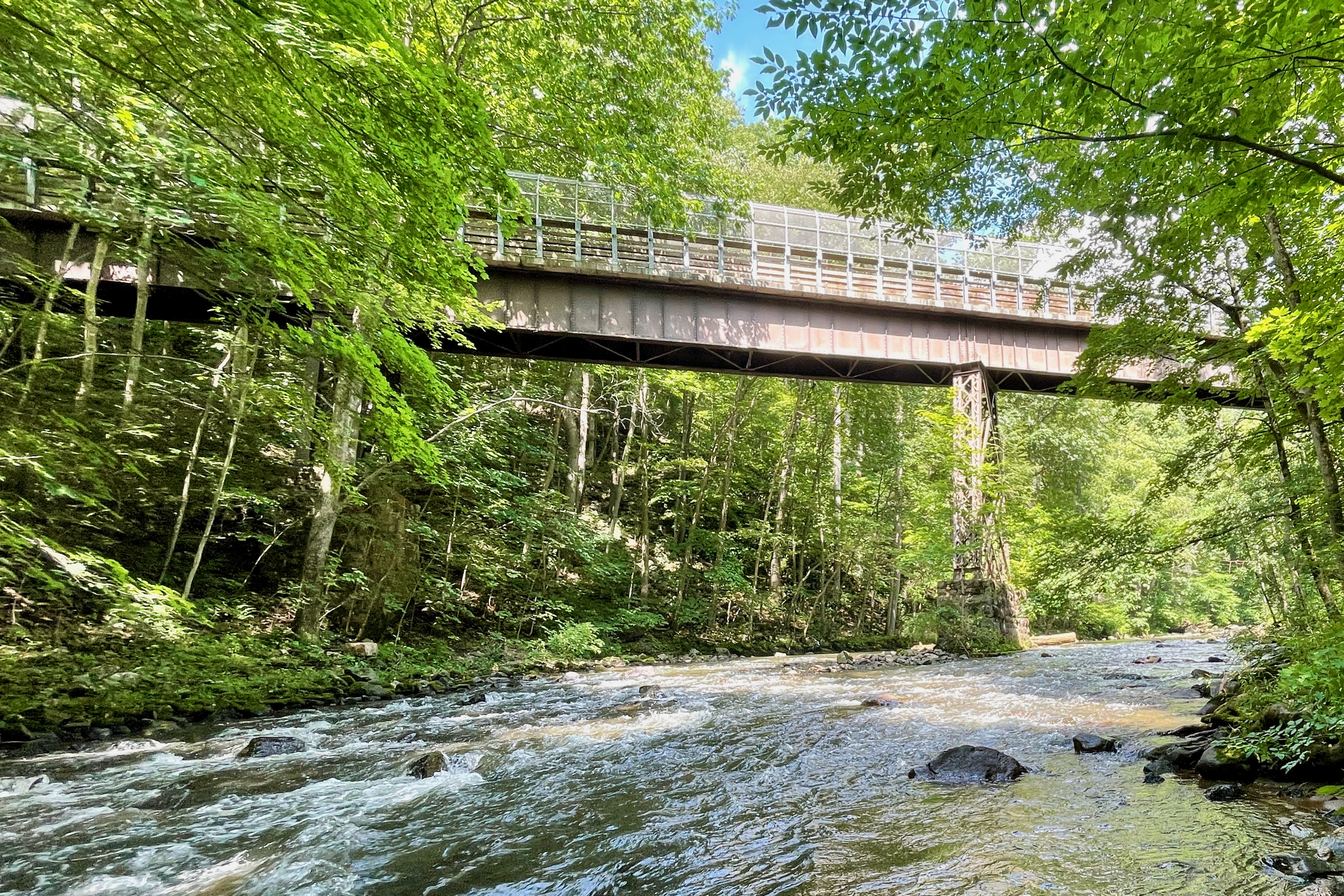 The Ken Lockwood Gorge Bridge crossing the South Branch Raritan River in Ken Lockwood Gorge in Lebanon Township, New Jersey.