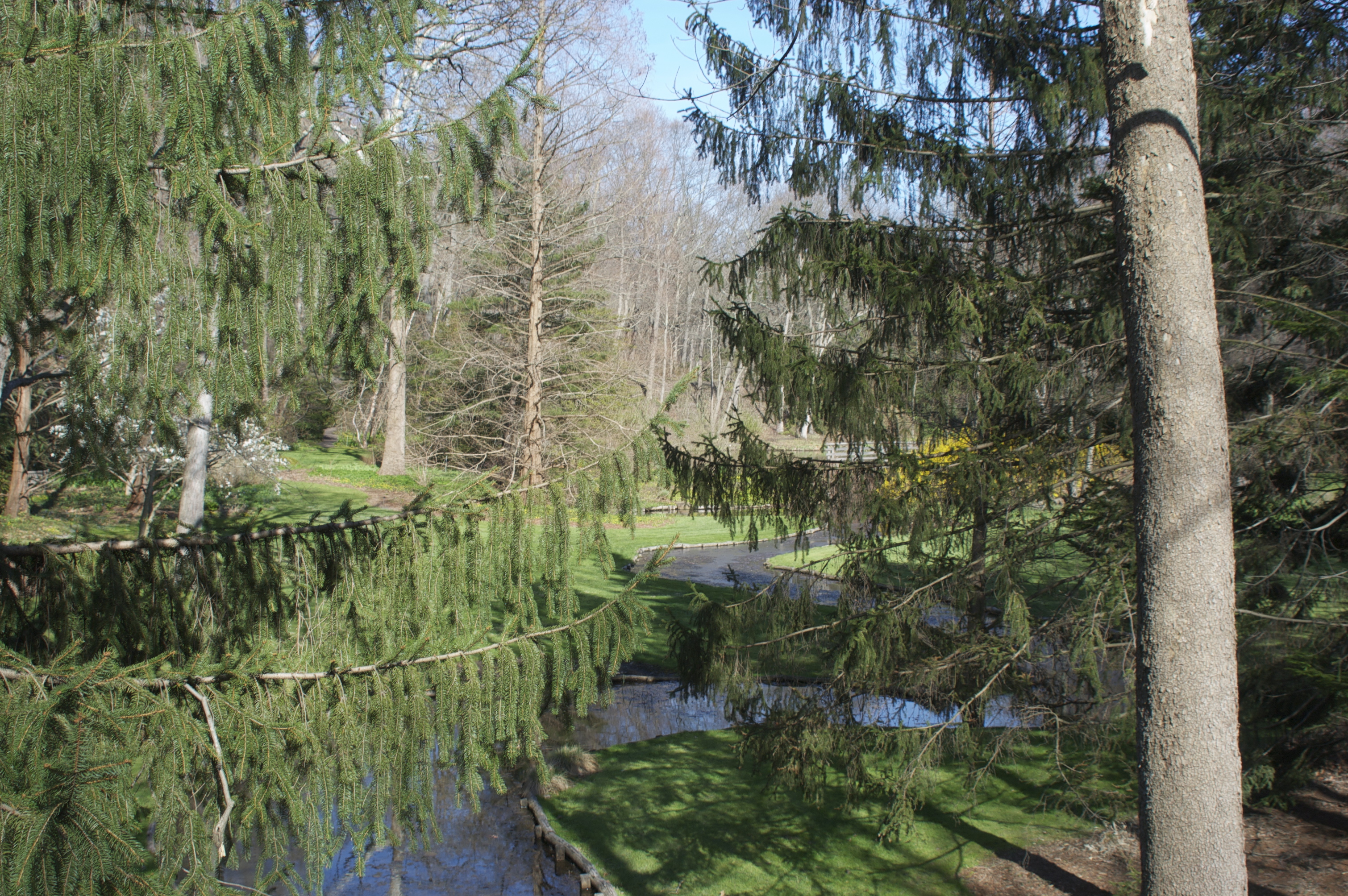 Leonard J Buck Garden in Far Hills New Jersey