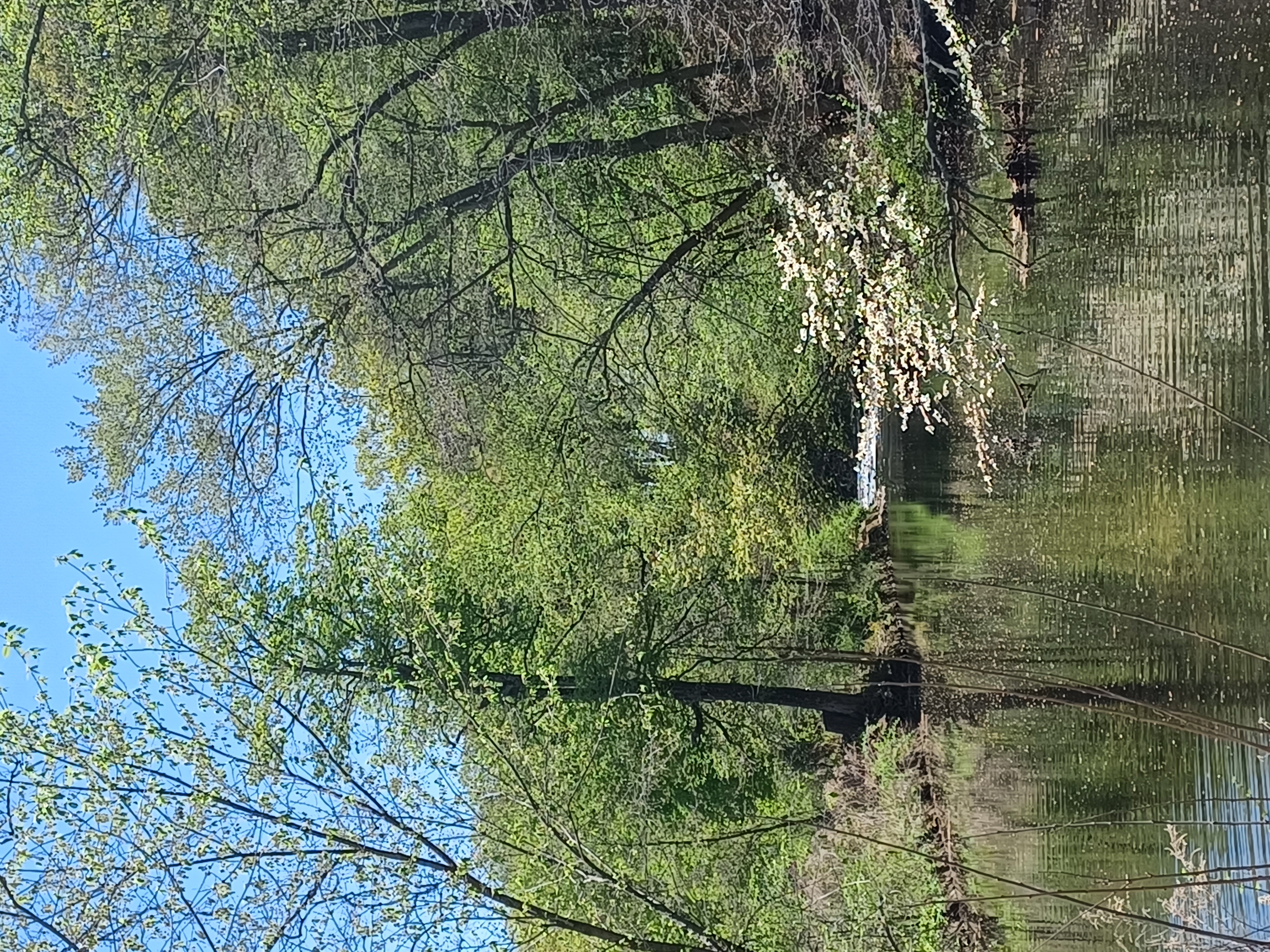 North Branch of the Raritan River at Natirar