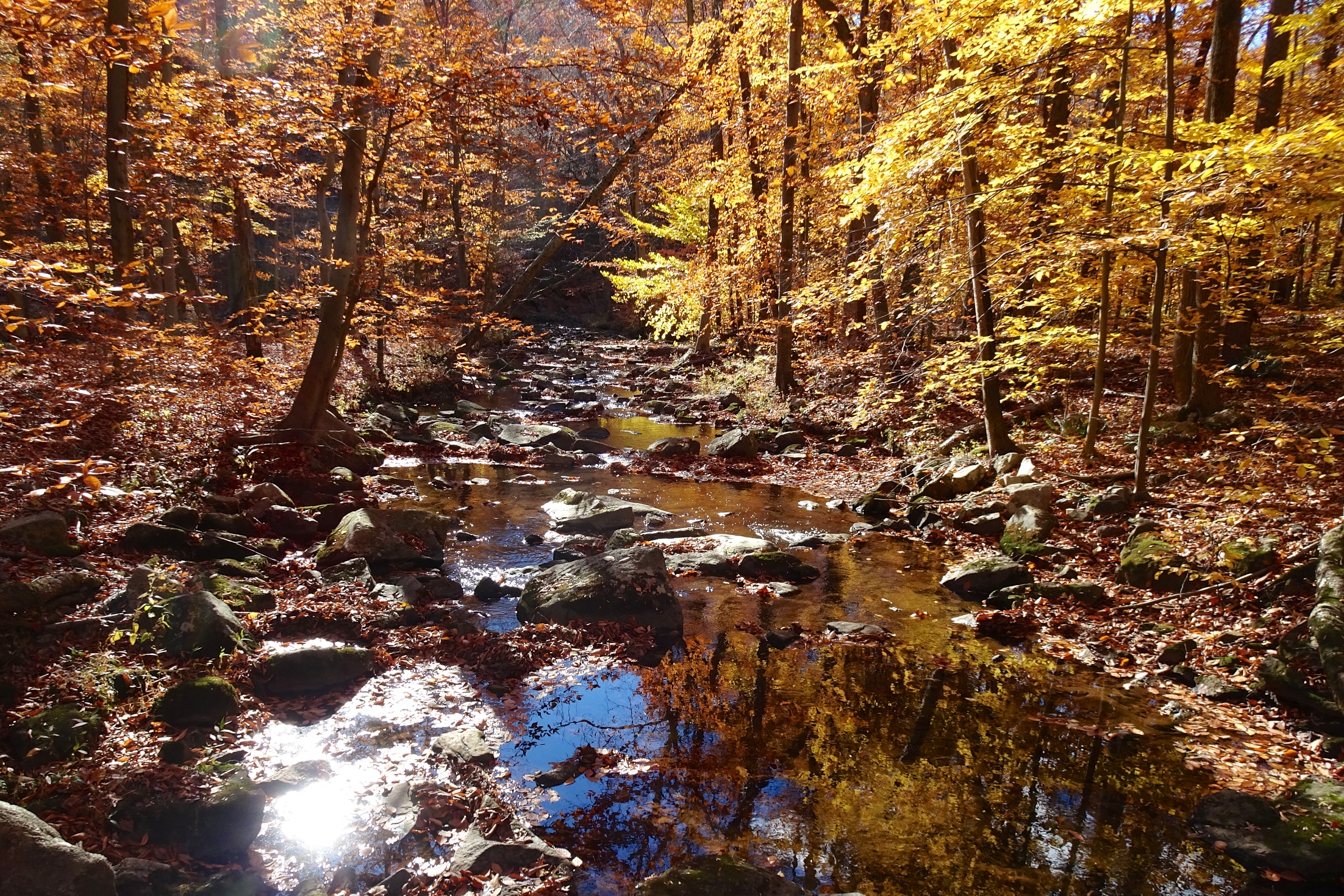 View of the Passaic River from the footbridge on the Patriots' Path in the New Jersey Brigade Encampment Site.