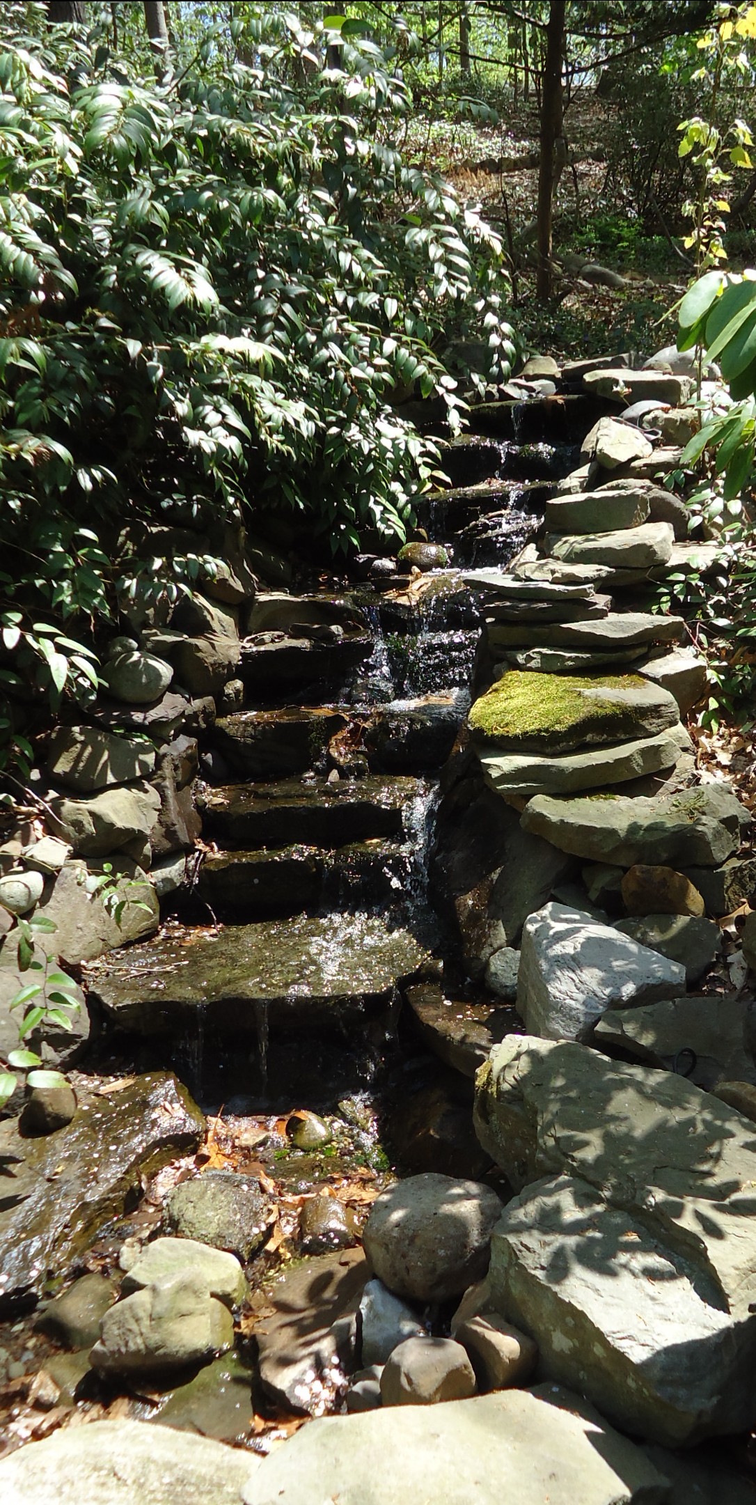 Waterfall garden at arboretum in Short Hills, New Jersey.