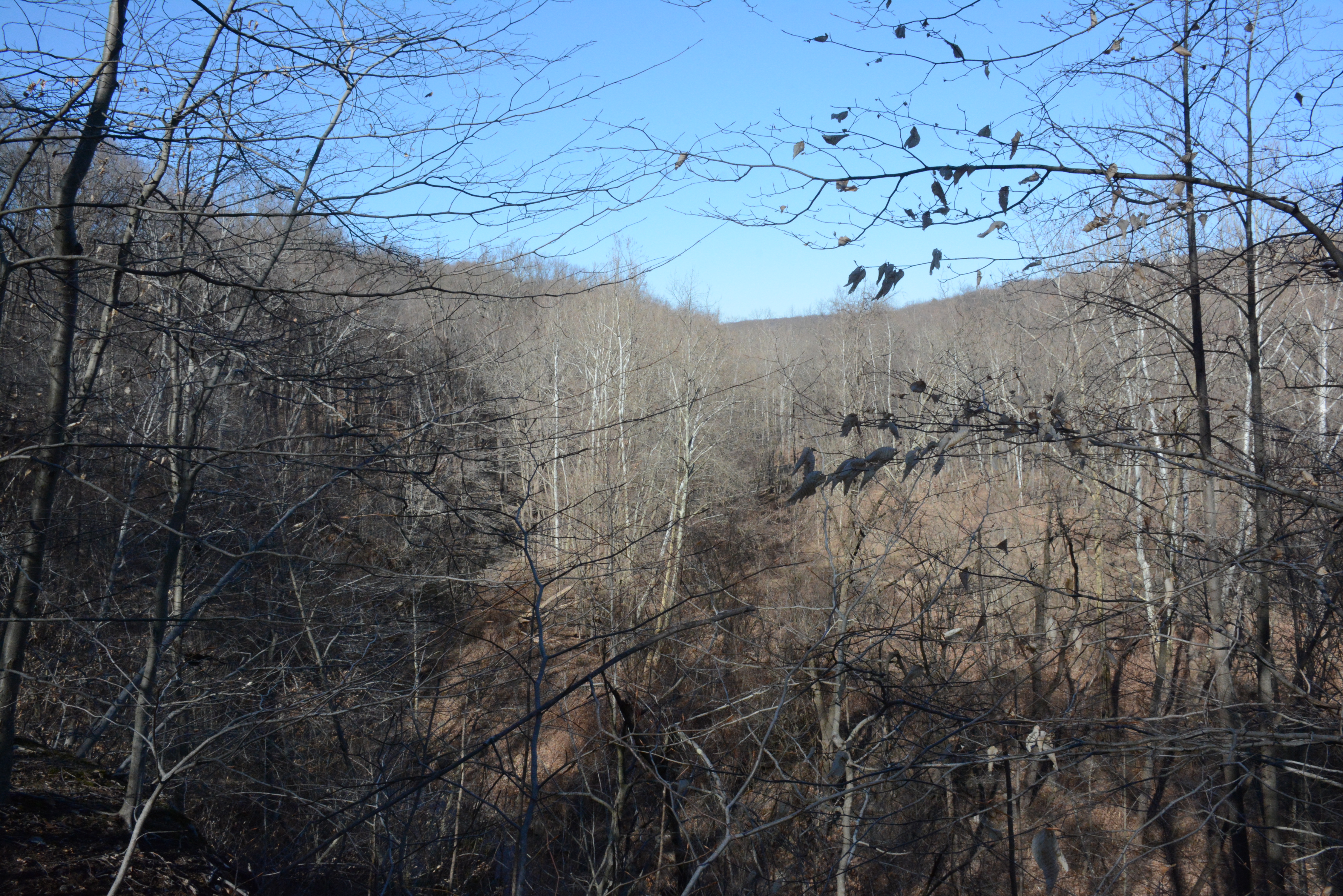 A photograph from near the top of Painter's Point, South Mountain Reservation, New Jersey. Nearby, an escarpment formed by some kind of erosion travels dozens of feet downward, to meet the western banks of the Rahway River.