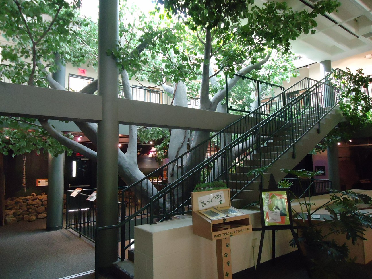 Interior view of the main lobby at the Trailside Nature &amp; Science Center in Watchung Reservation in Mountainside, New Jersey. The tree is artificial.