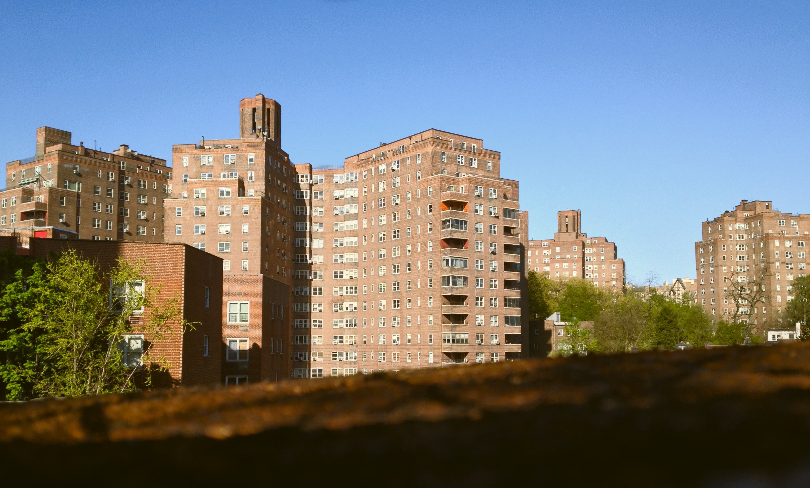 A view of several of the Amalgamated buildings as they appeared from Orloff Avenue in 2013.