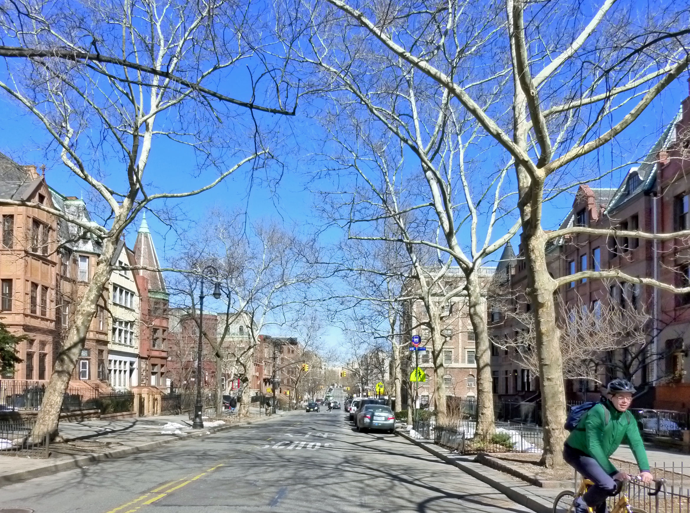 Hamilton Heights streetscape